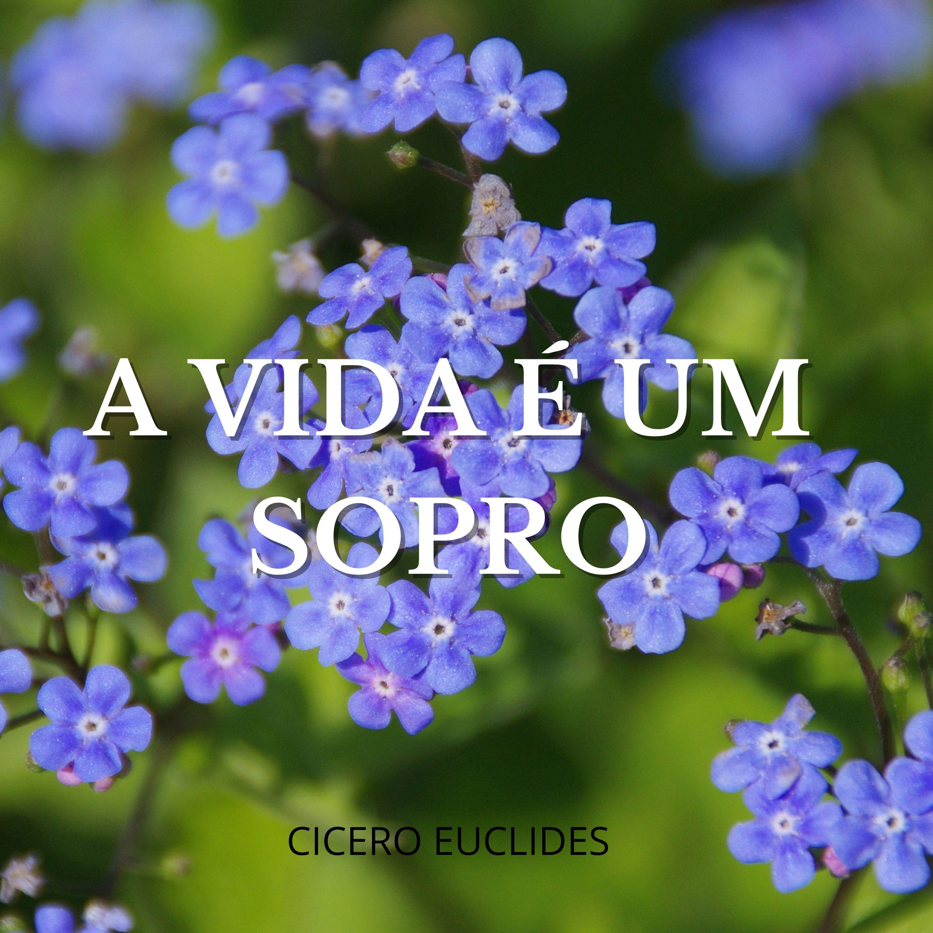 Постер альбома A Vida É um Sopro