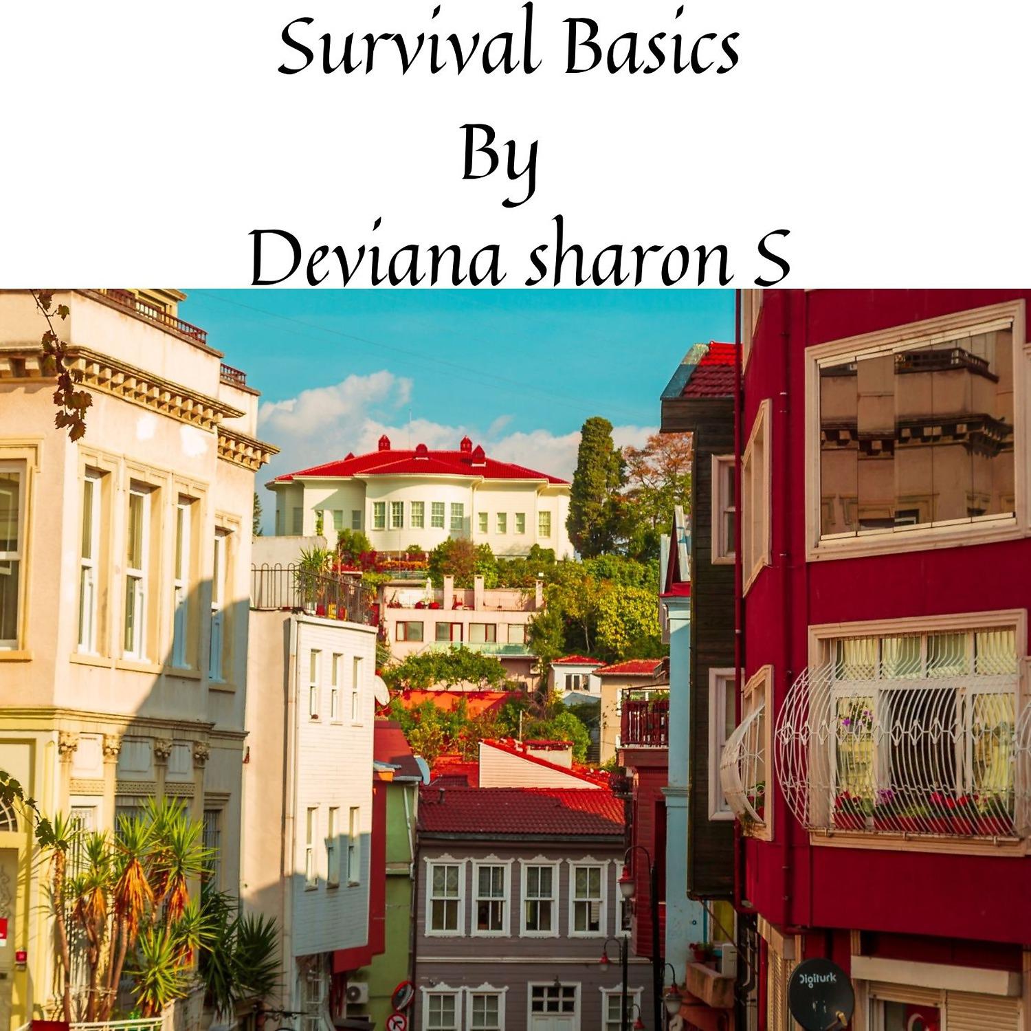 Постер альбома Survival Basics