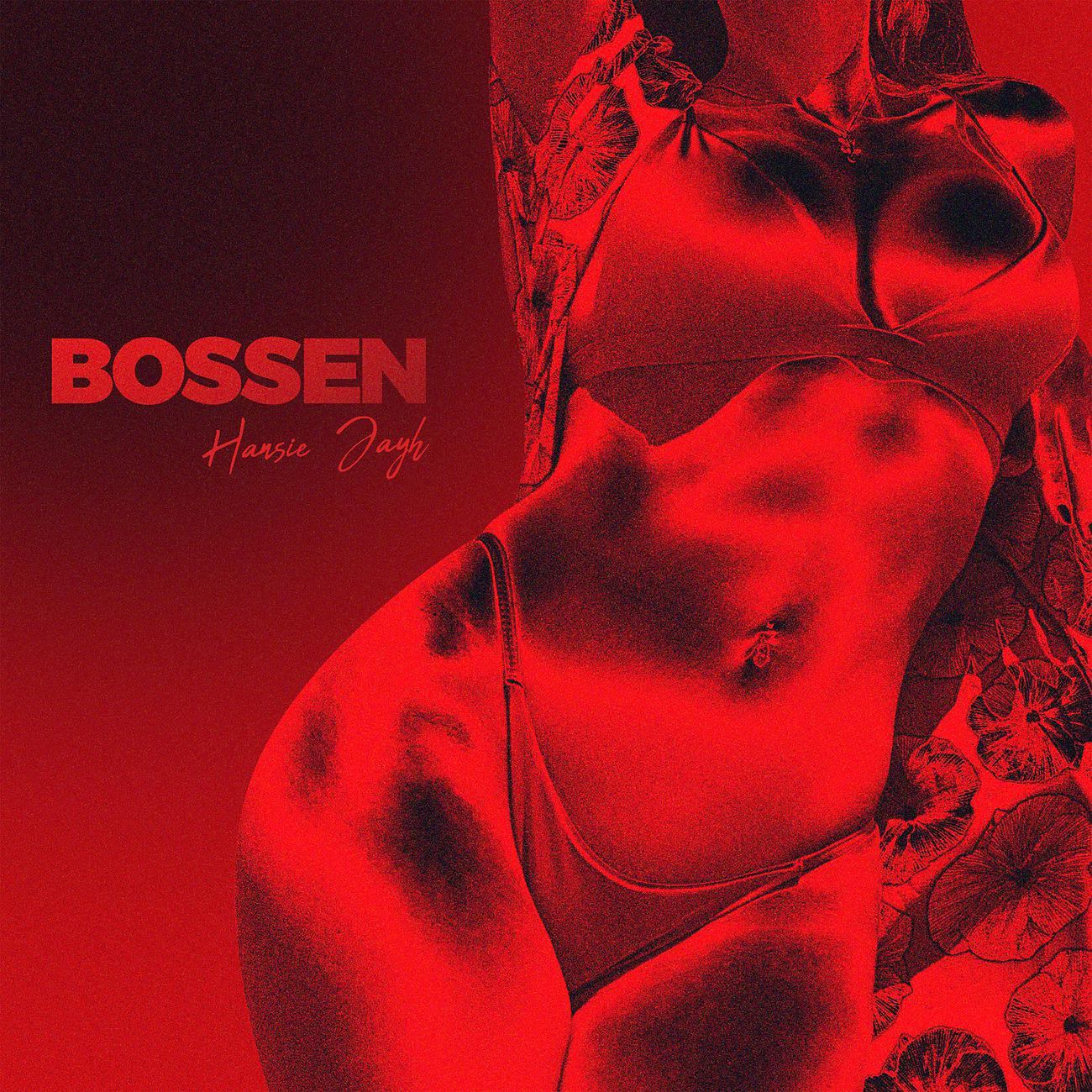 Постер альбома Bossen