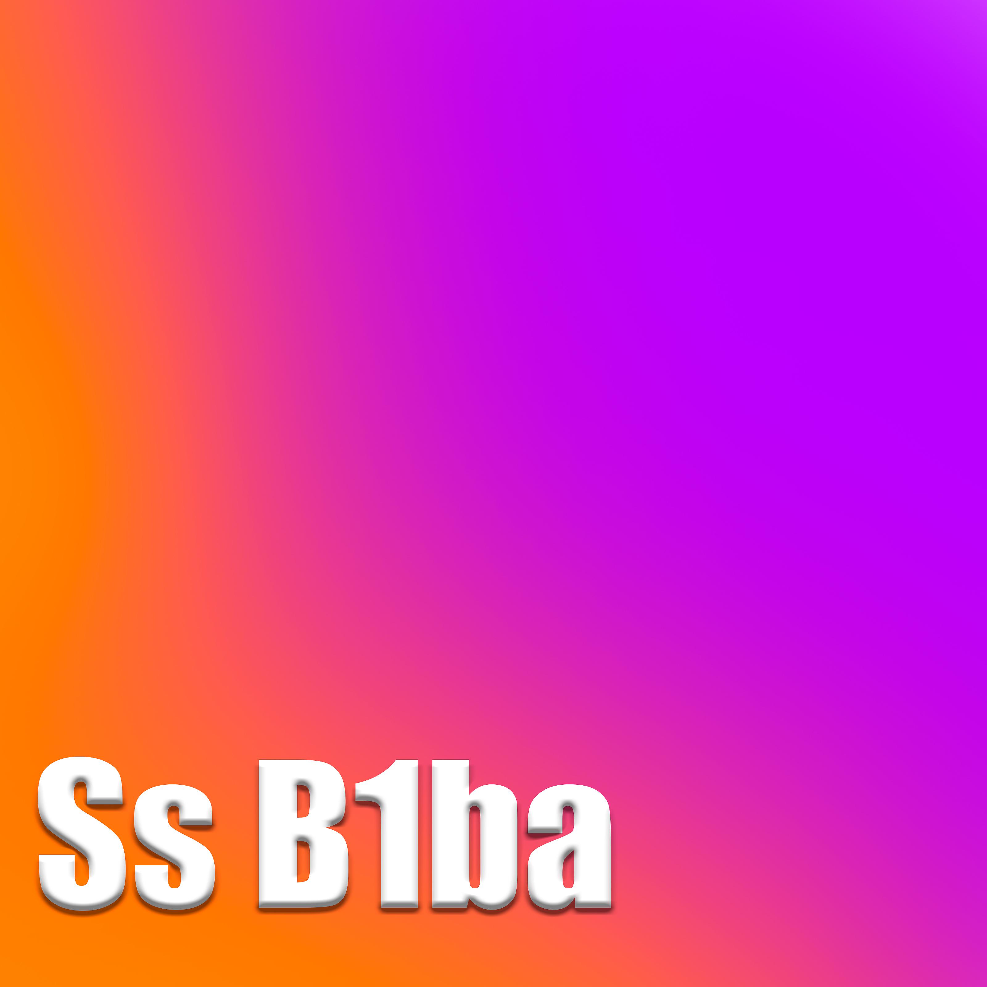 Постер альбома Ss B1ba