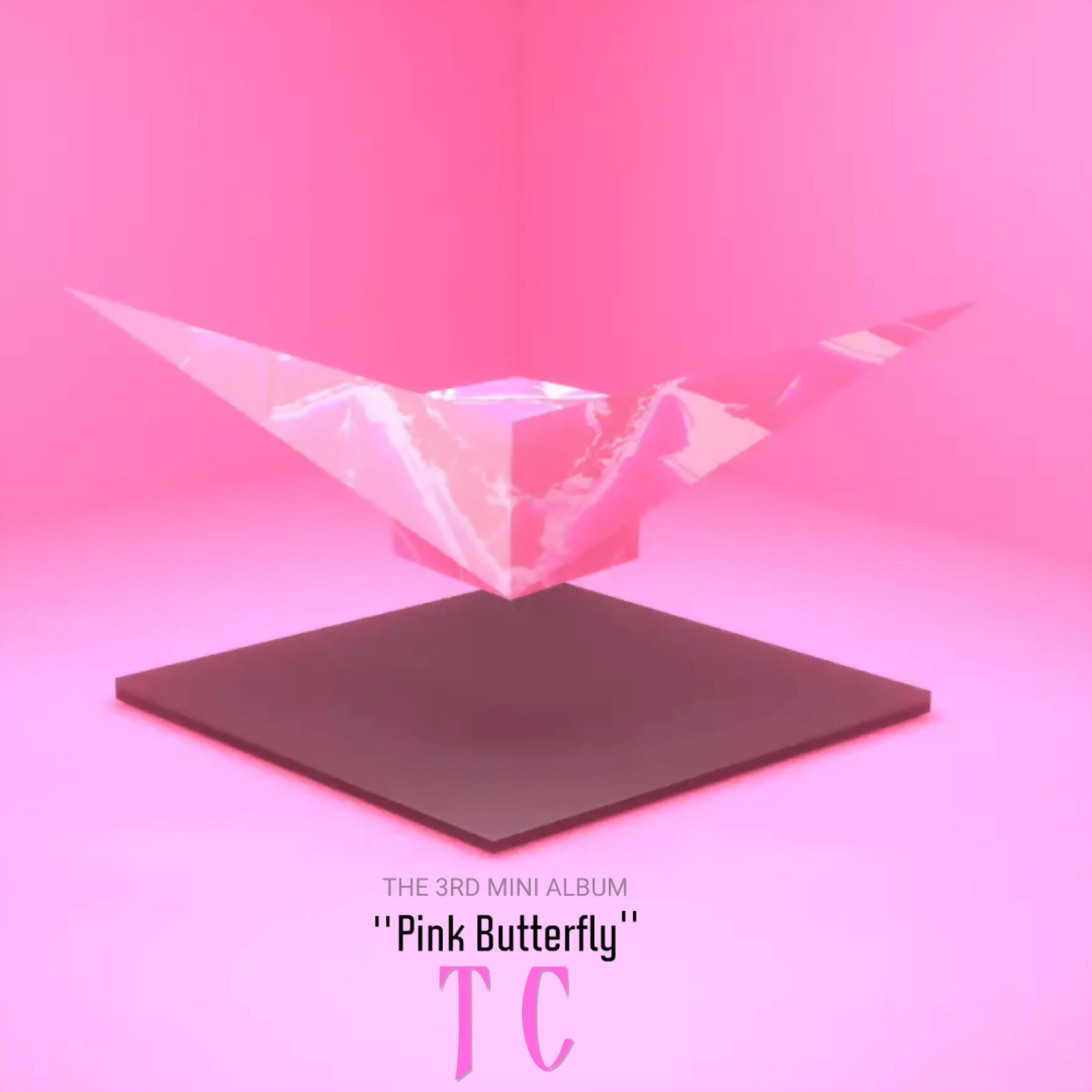 Постер альбома Pink Butterfly the 3Rd Mini Album