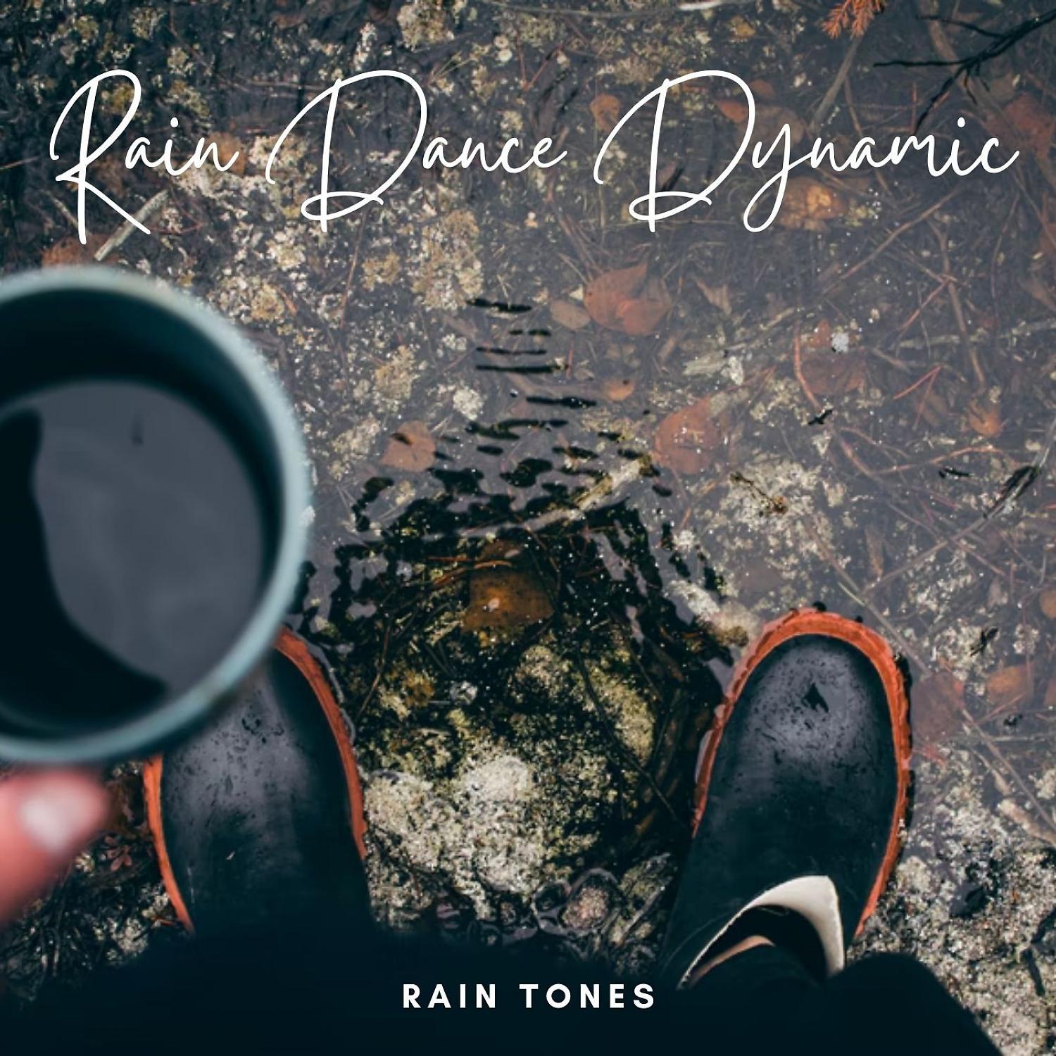 Постер альбома Rain Tones: Rain Dance Dynamic