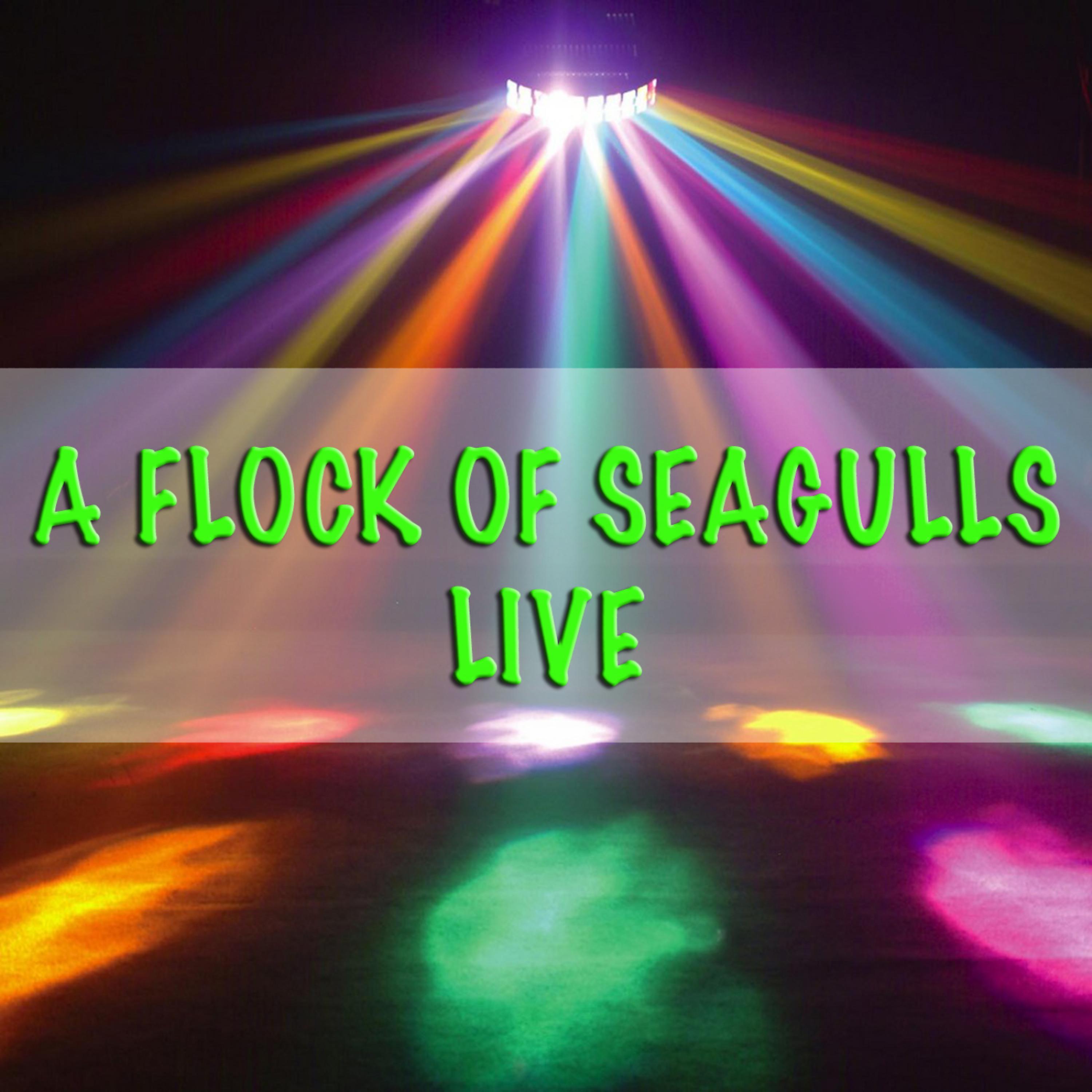 Постер альбома A Flock Of Seagulls - Live
