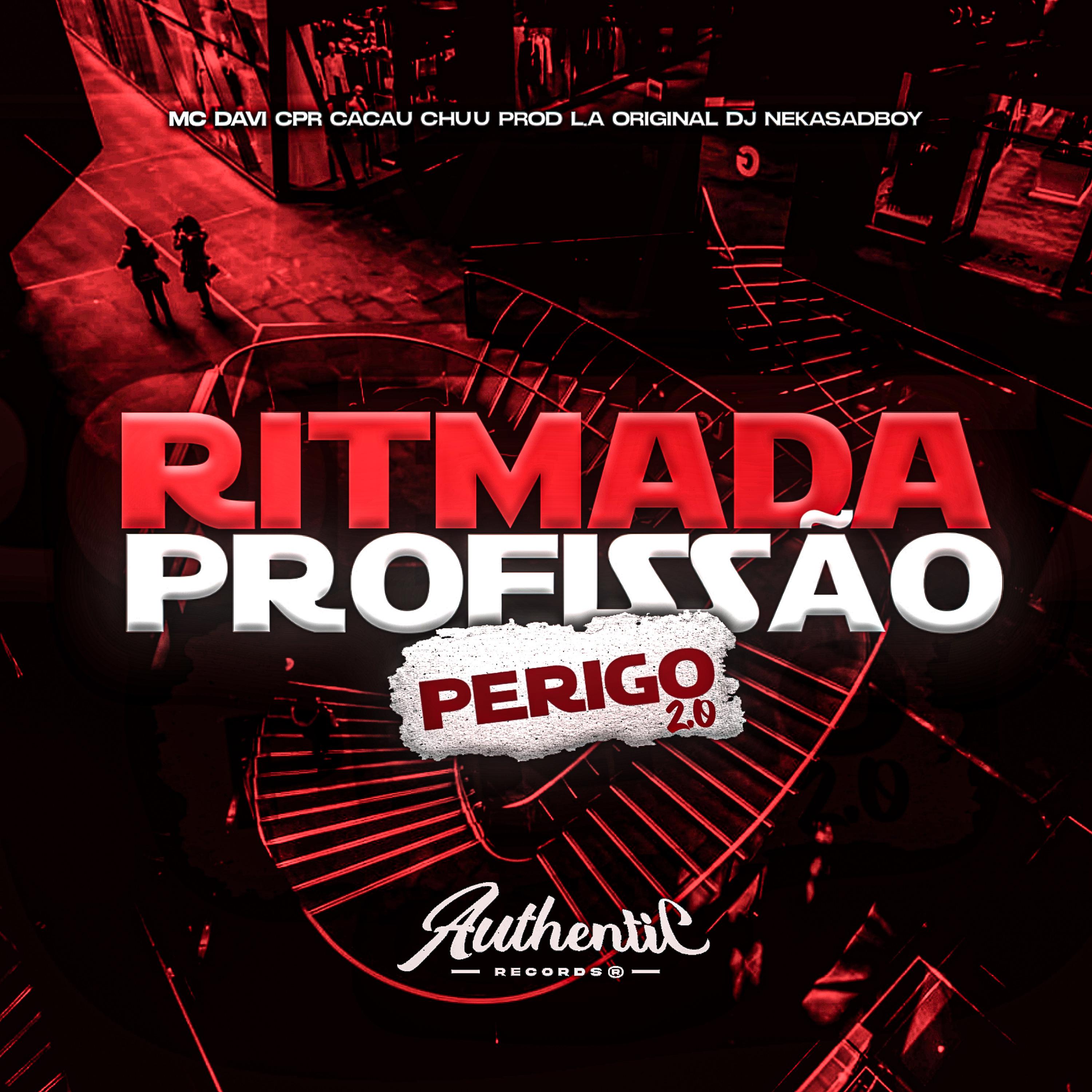 Постер альбома Ritimada Profissão Perigo 2.0