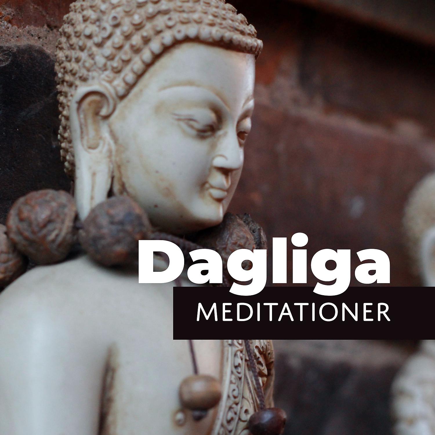 Постер альбома Dagliga meditationer - Lugn och avslappnande musik för buddistisk meditation