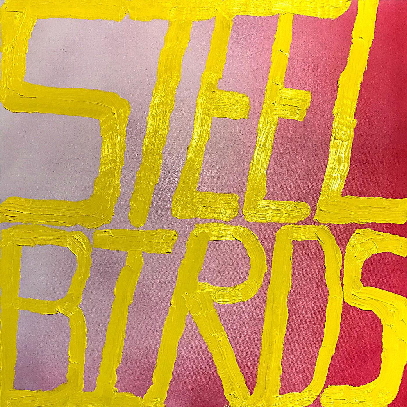 Постер альбома Steel Birds