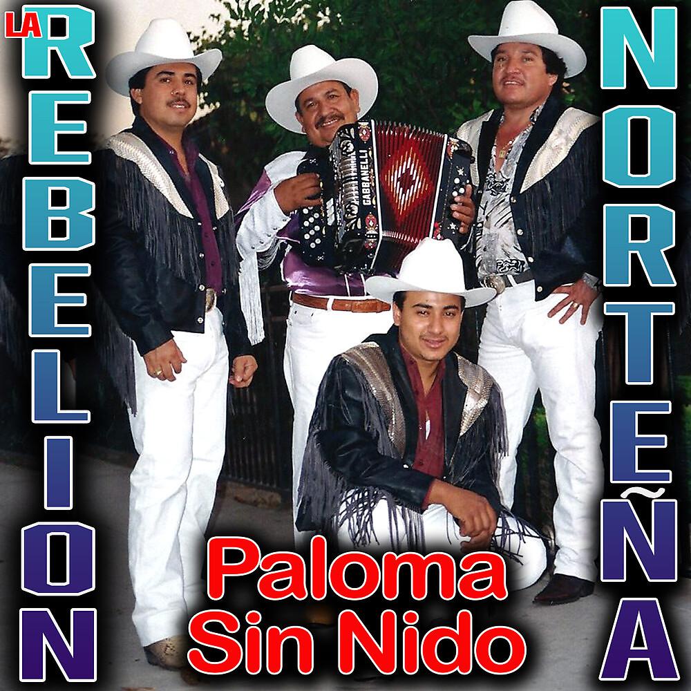 Постер альбома Paloma Sin Nido