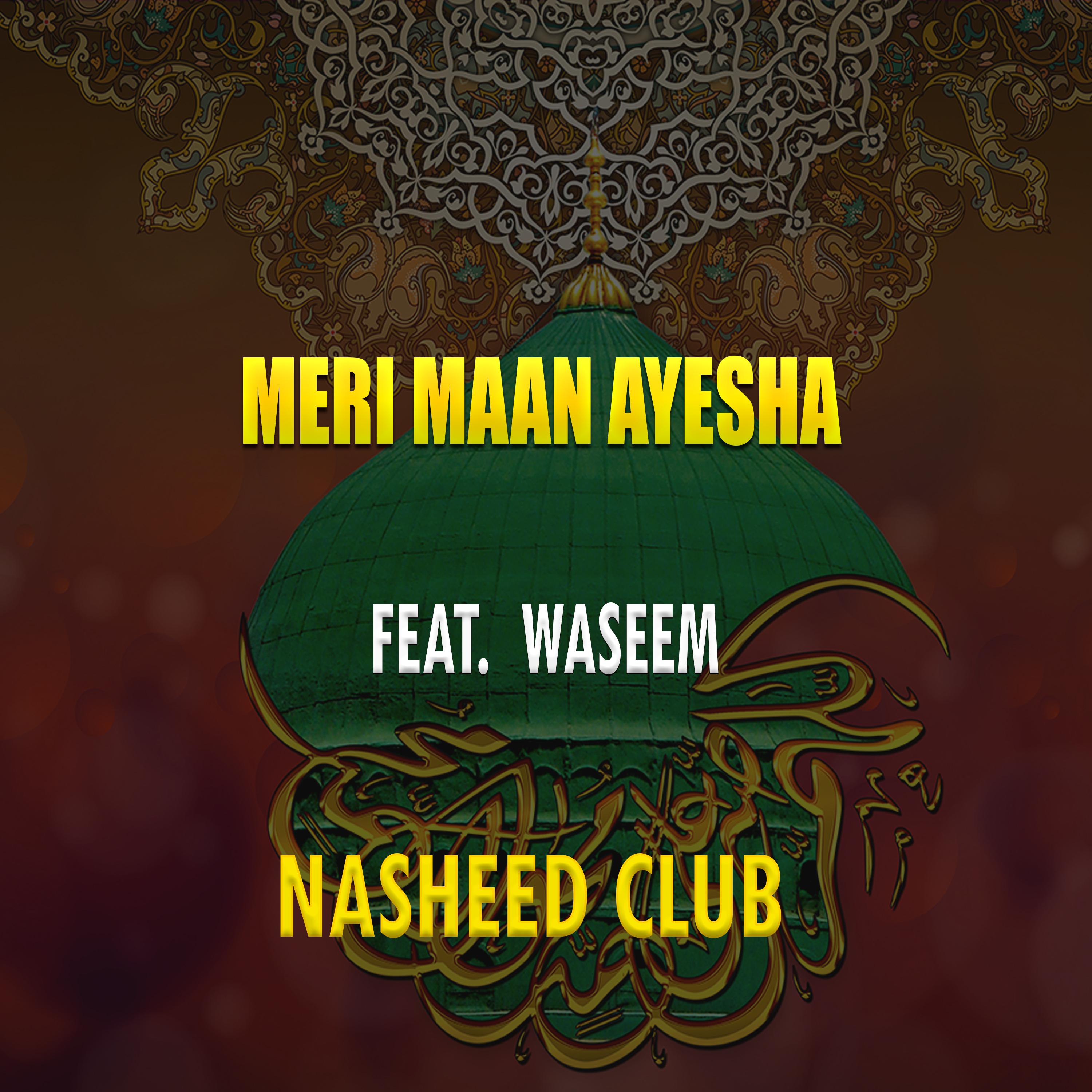 Постер альбома Meri Maan Ayesha