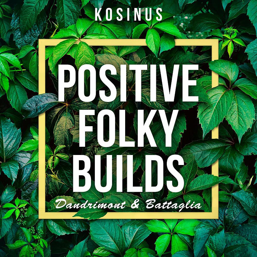 Постер альбома Positive Folky Builds