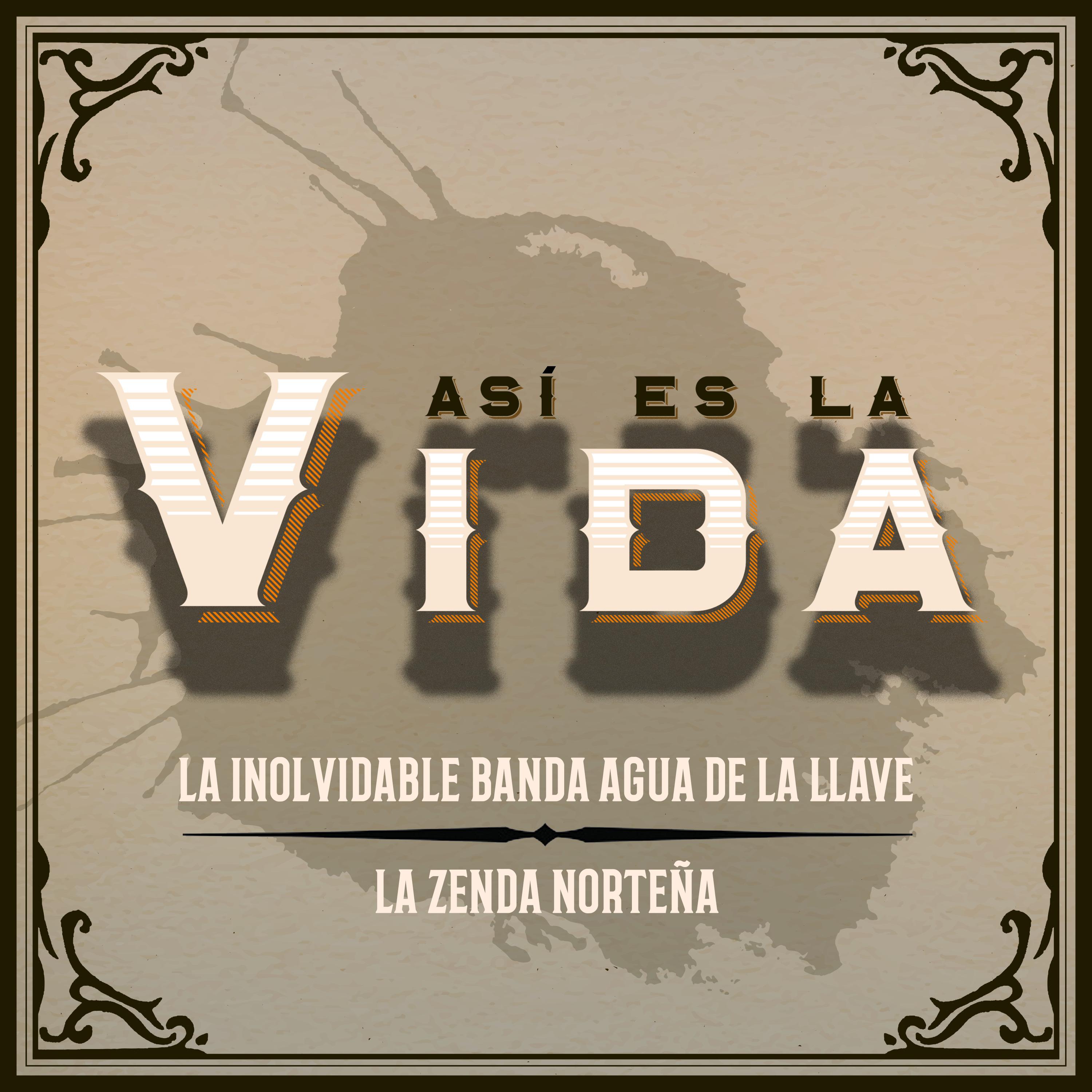Постер альбома Así Es la Vida