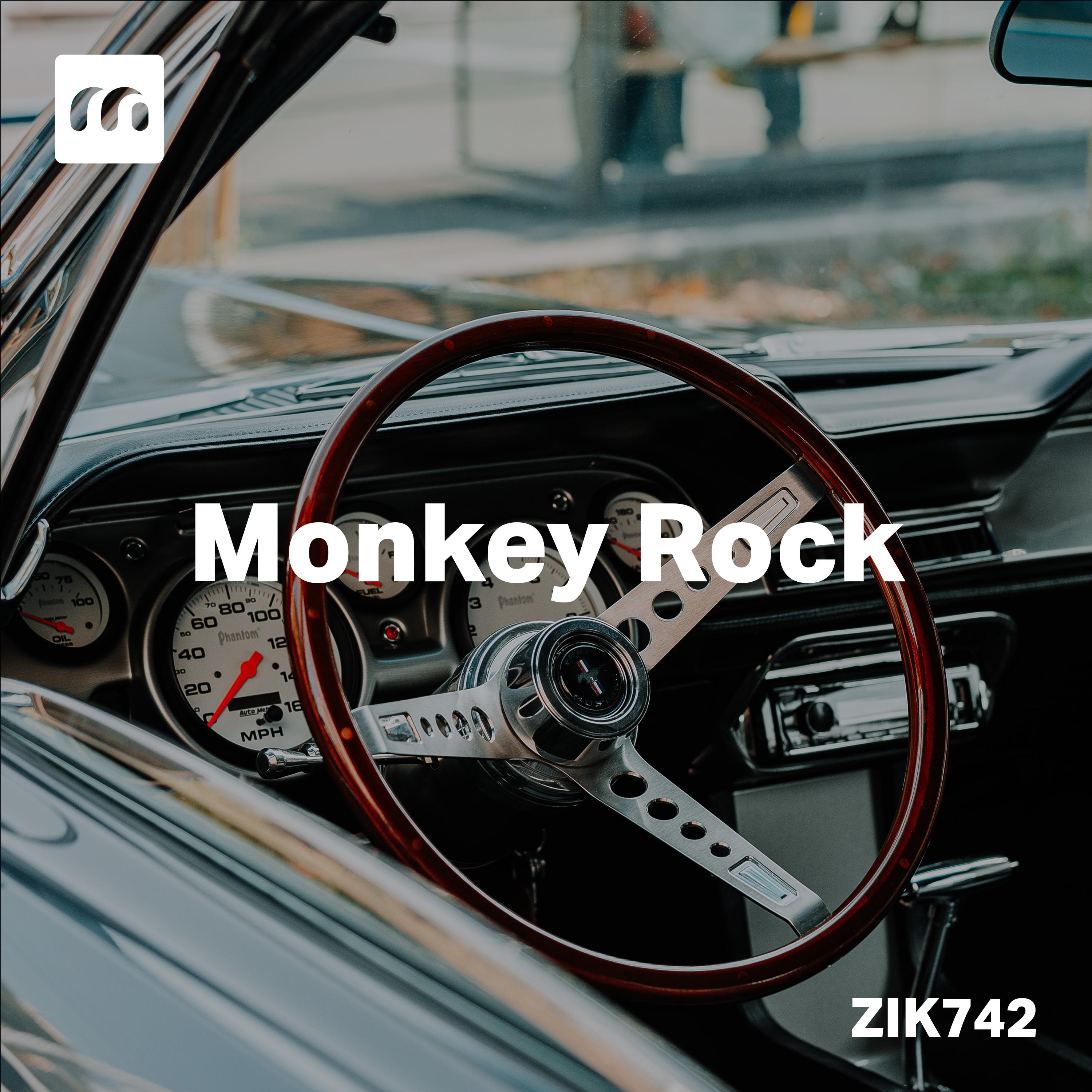 Постер альбома Monkey Rock