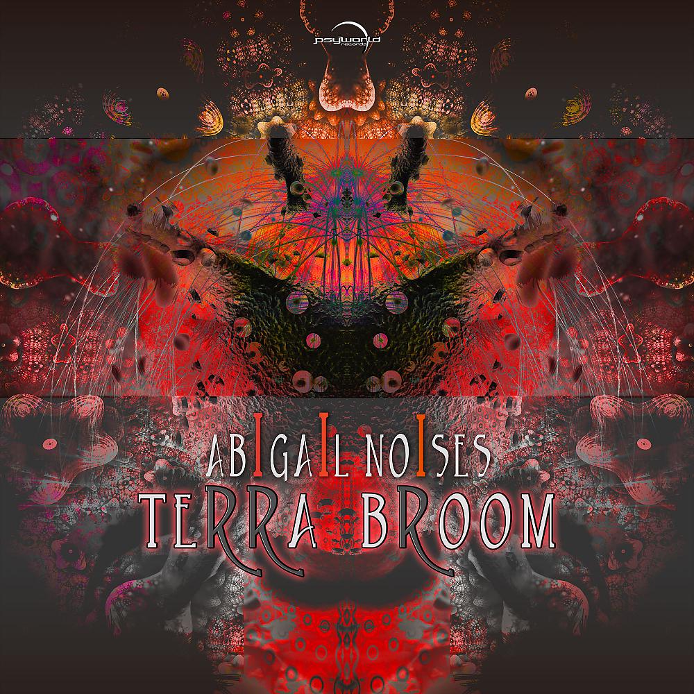 Постер альбома Terra Broom