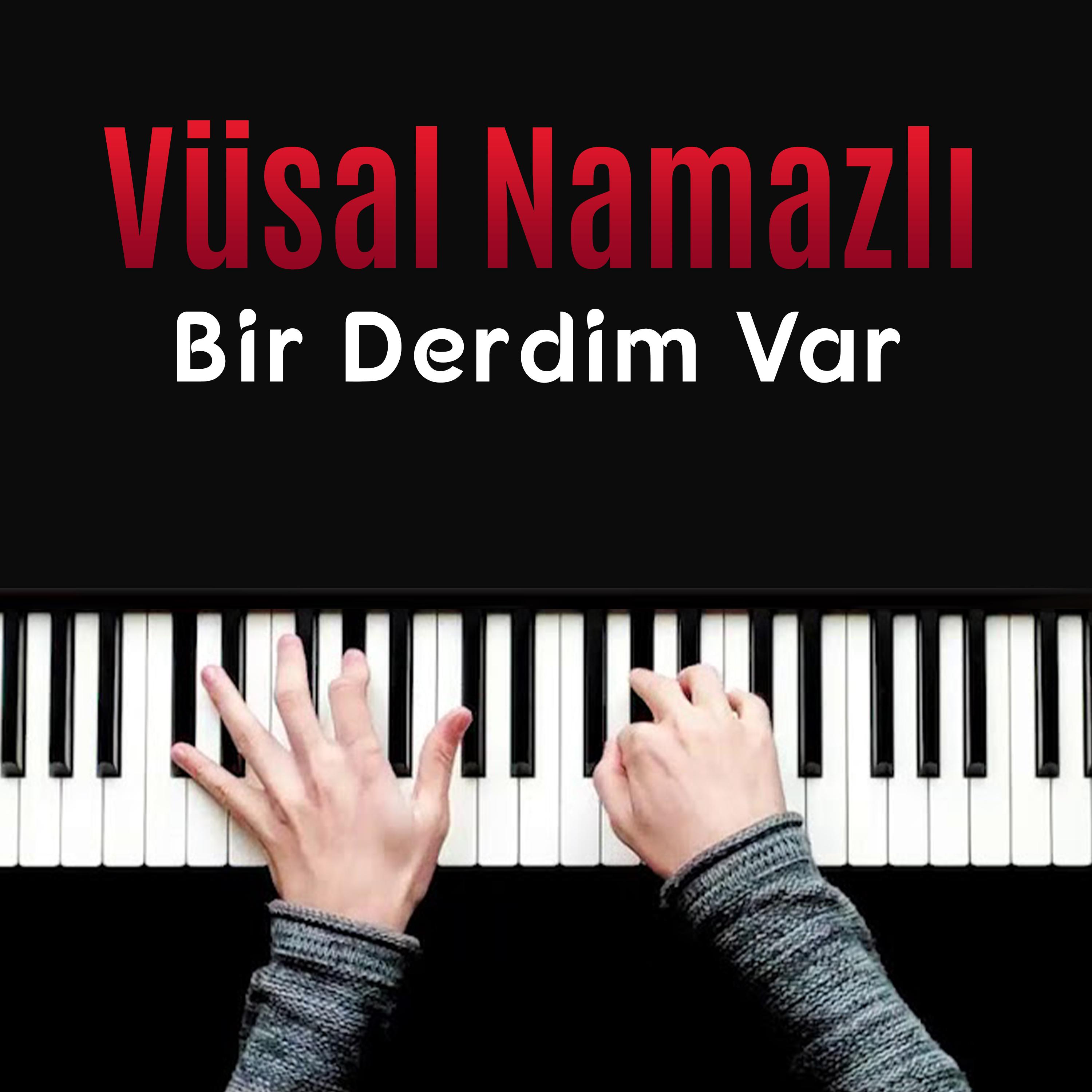 Постер альбома Bir Derdim Var