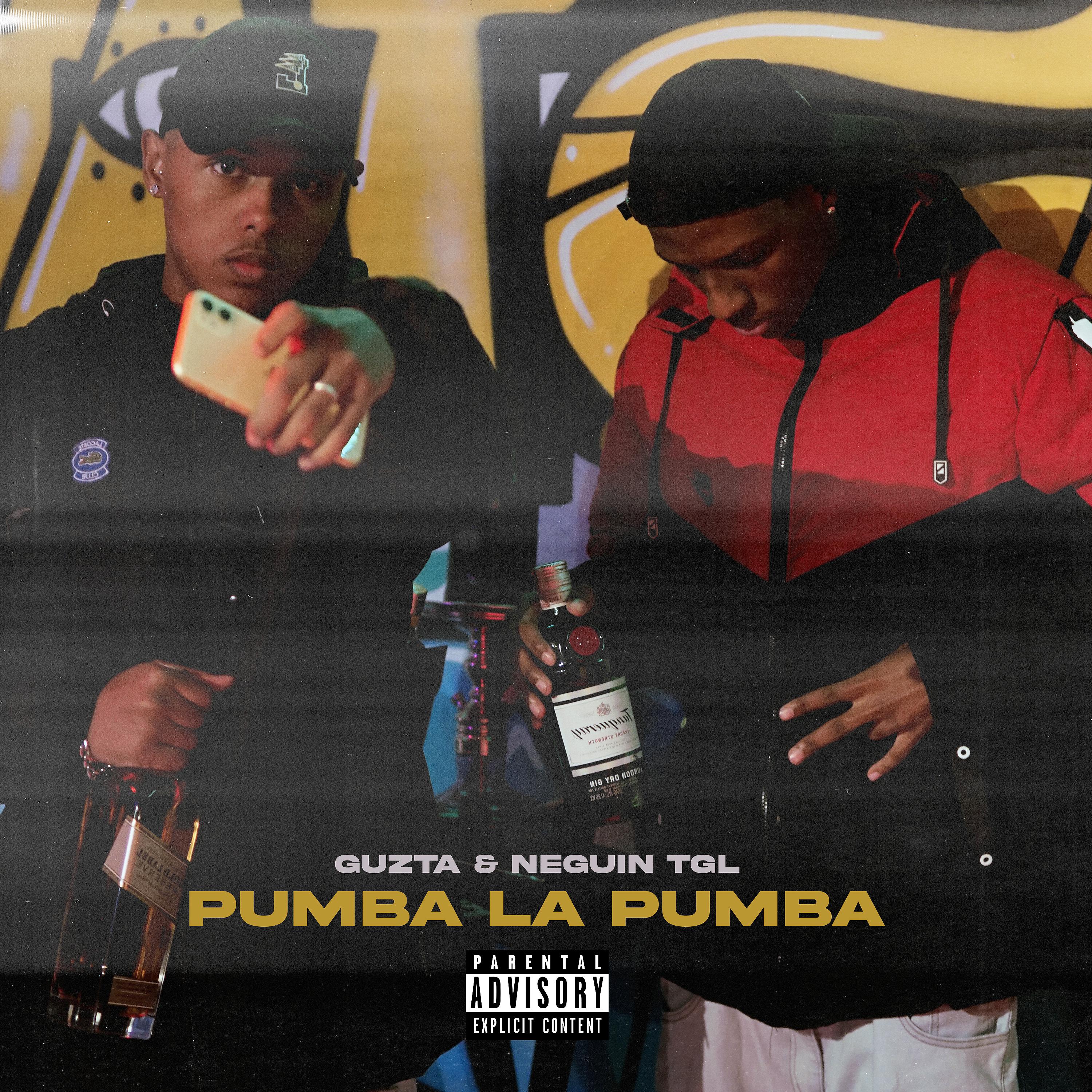 Постер альбома Pumba La Pumba
