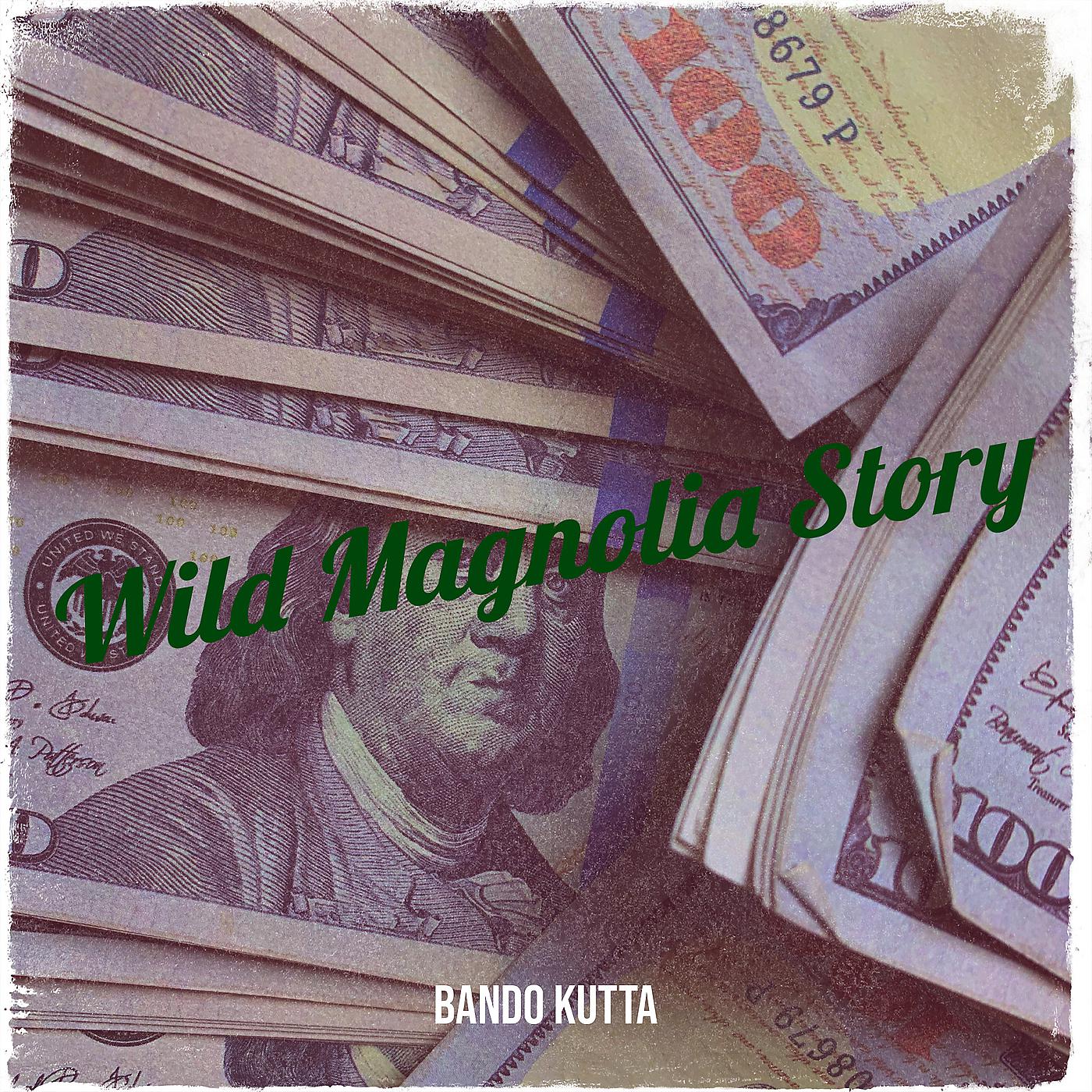 Постер альбома Wild Magnolia Story