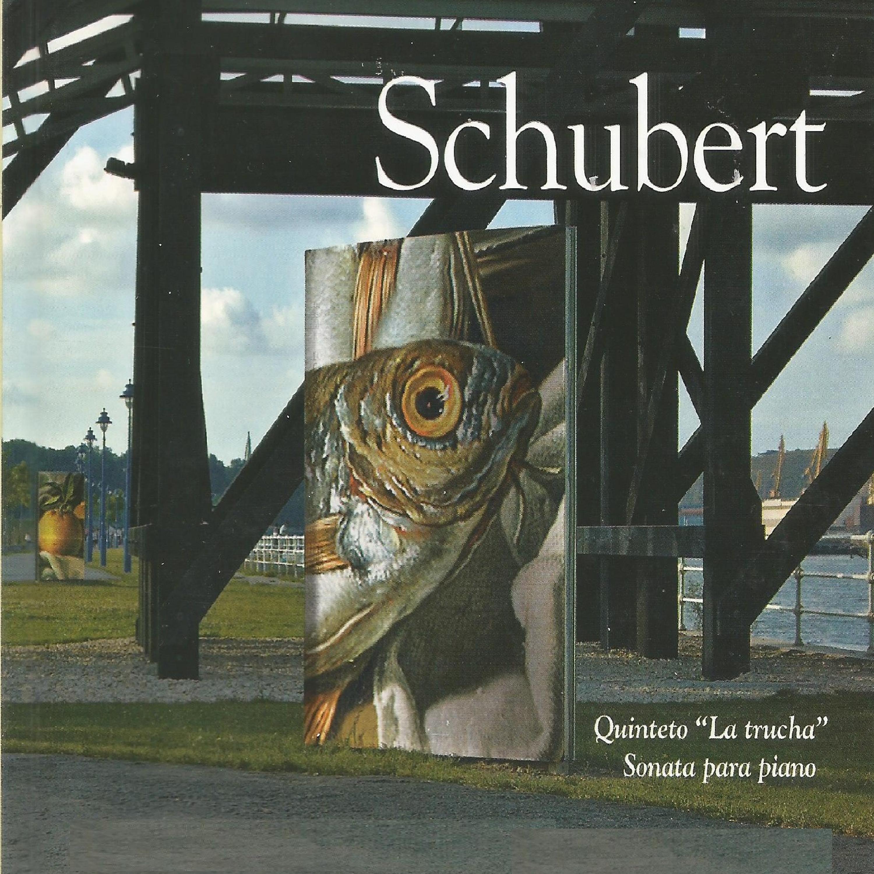 Постер альбома Schubert - Sonata para Piano