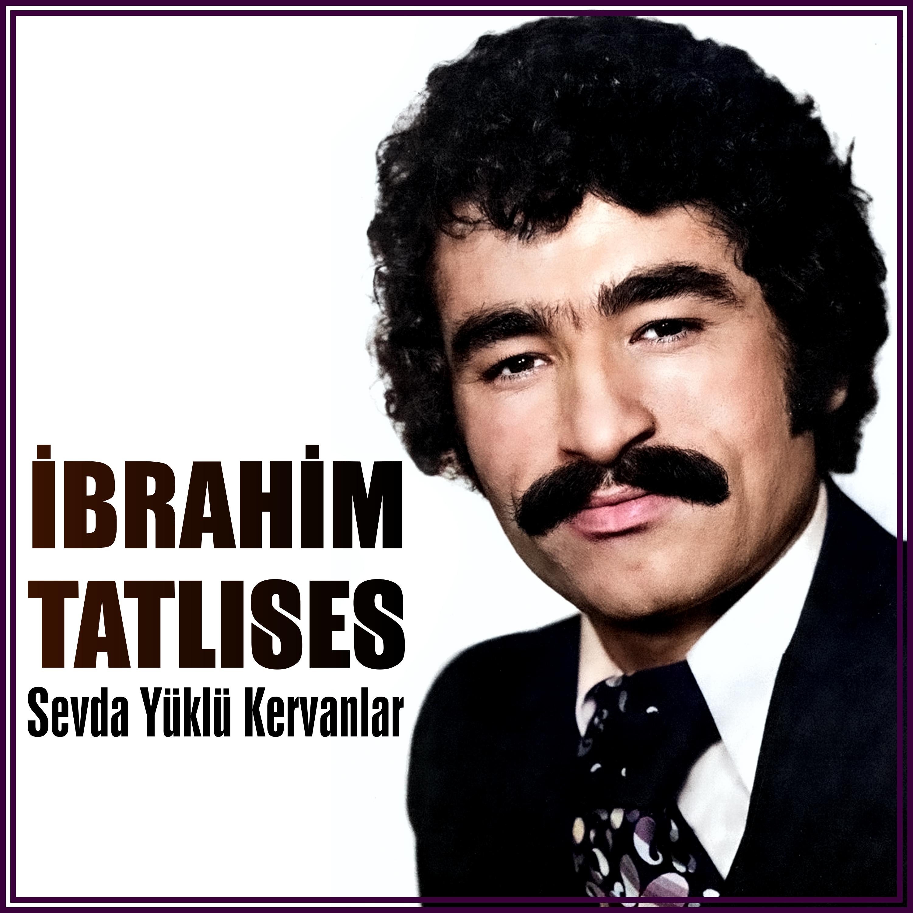 Постер альбома Sevda Yüklü Kervanlar