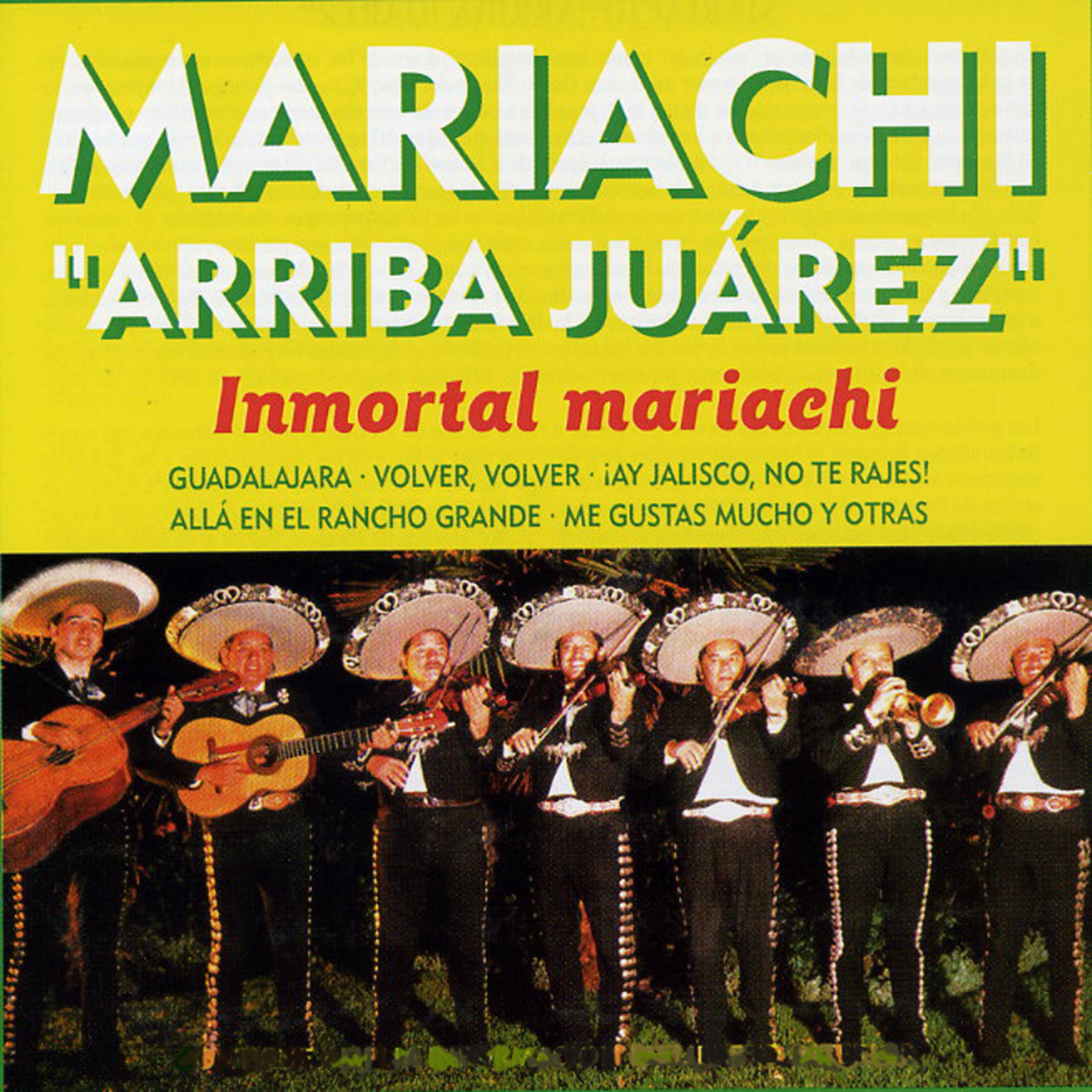 Постер альбома Inmortal Mariachi