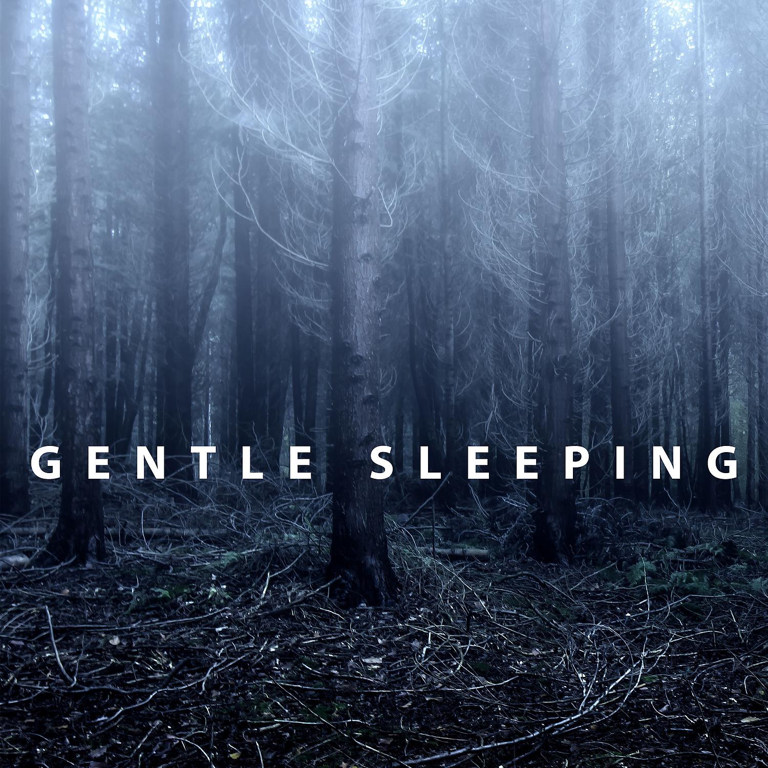 Постер альбома Gentle Sleeping – Ultimate Relaxation for Sleeping, Get Rest, Sleep Better