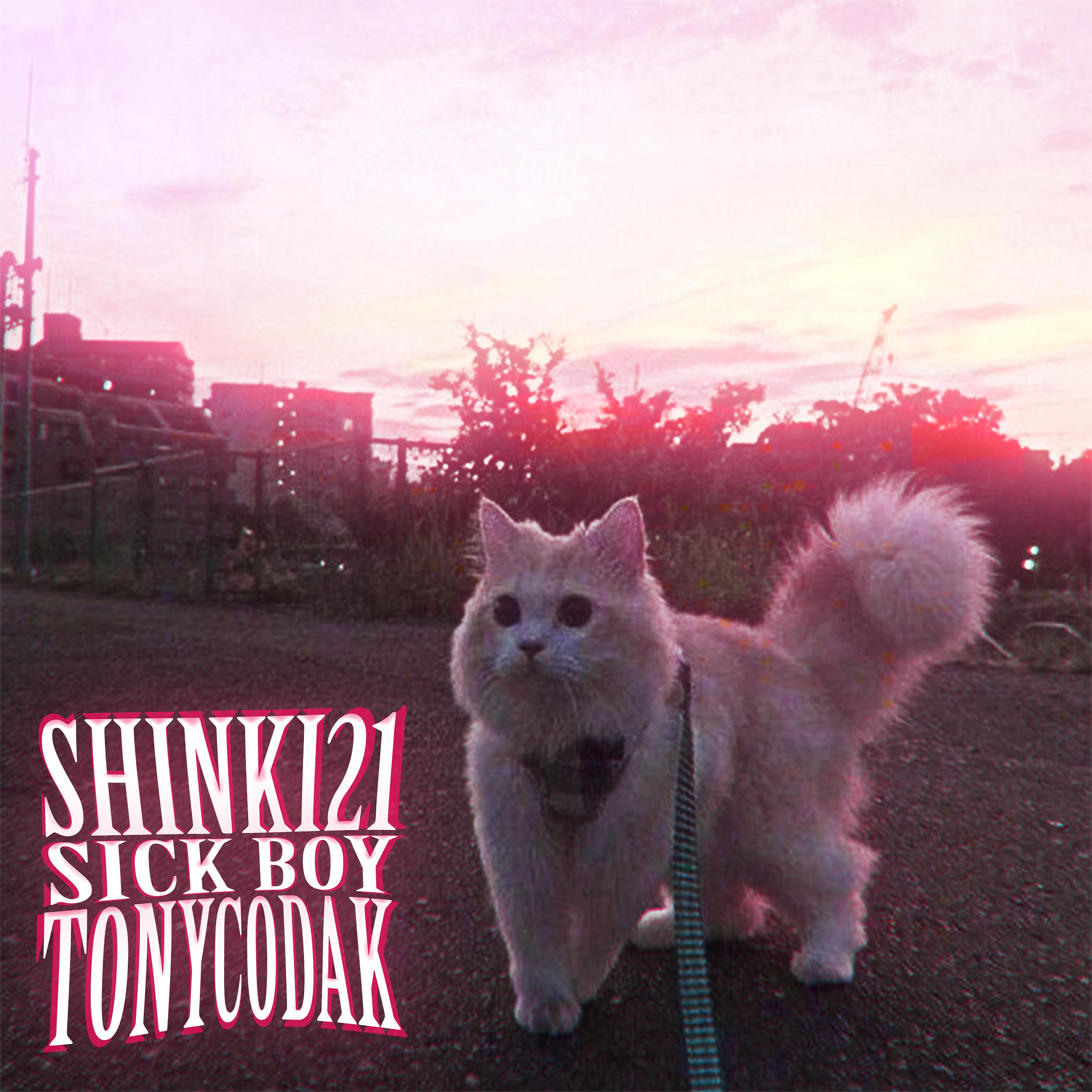 Постер альбома Sick Boy (Remix)