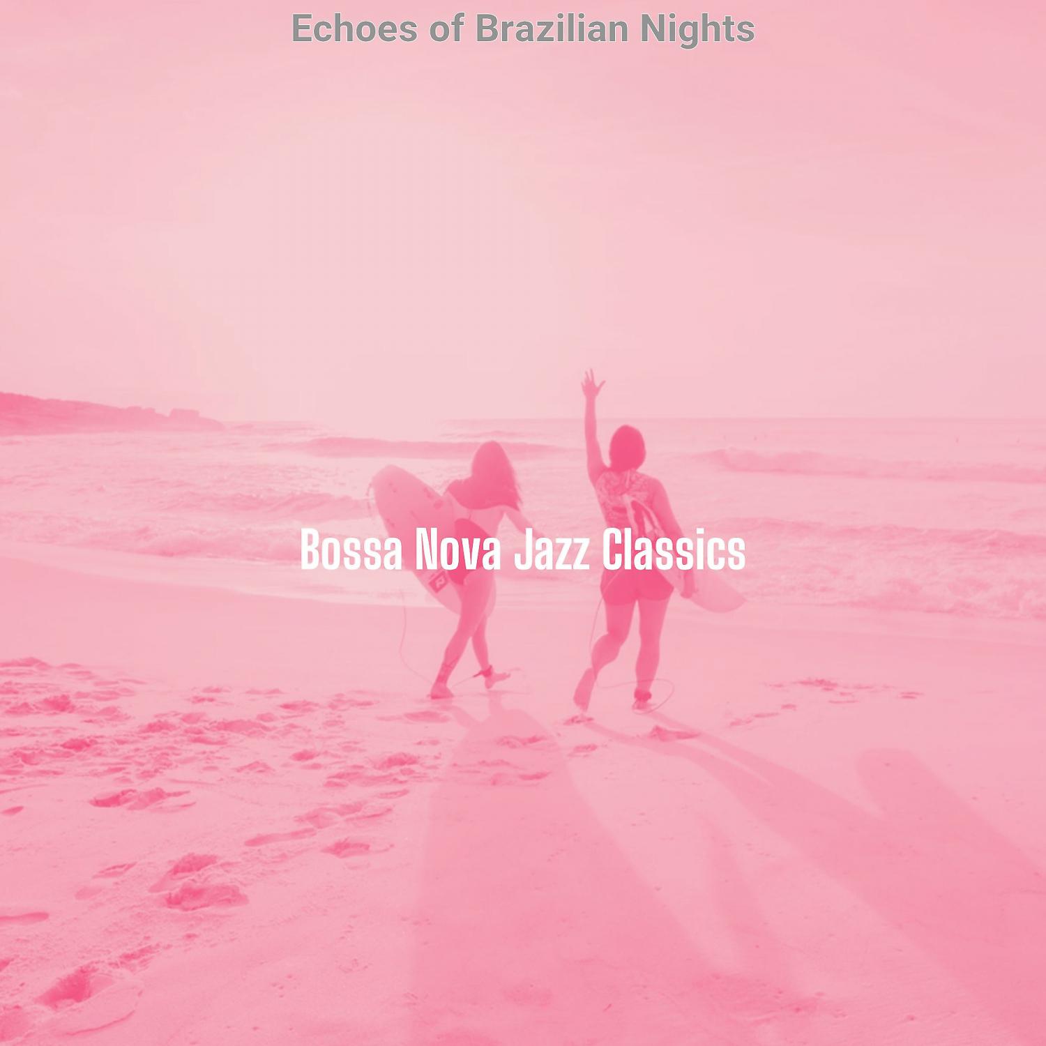 Постер альбома Echoes of Brazilian Nights