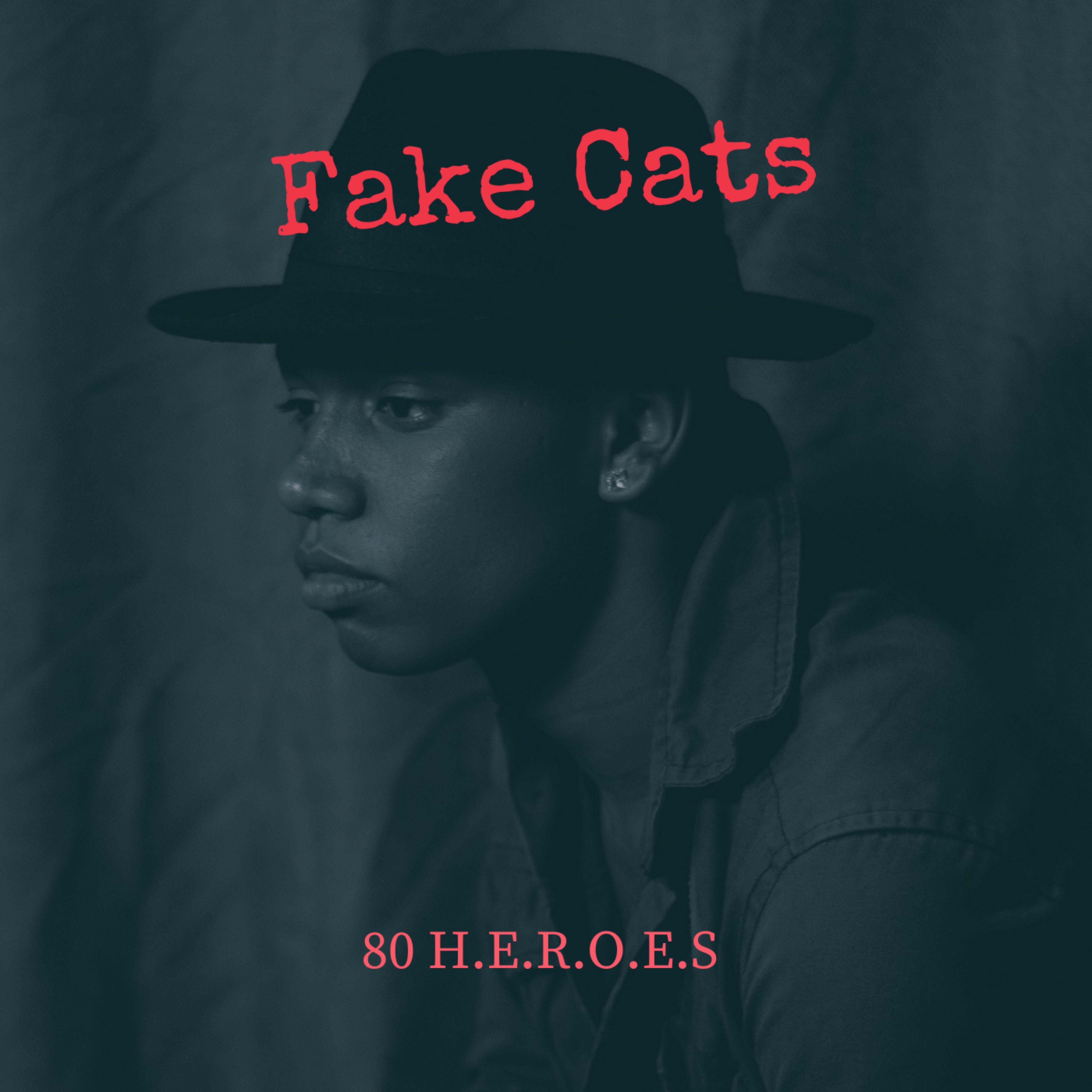 Постер альбома Fake Cats