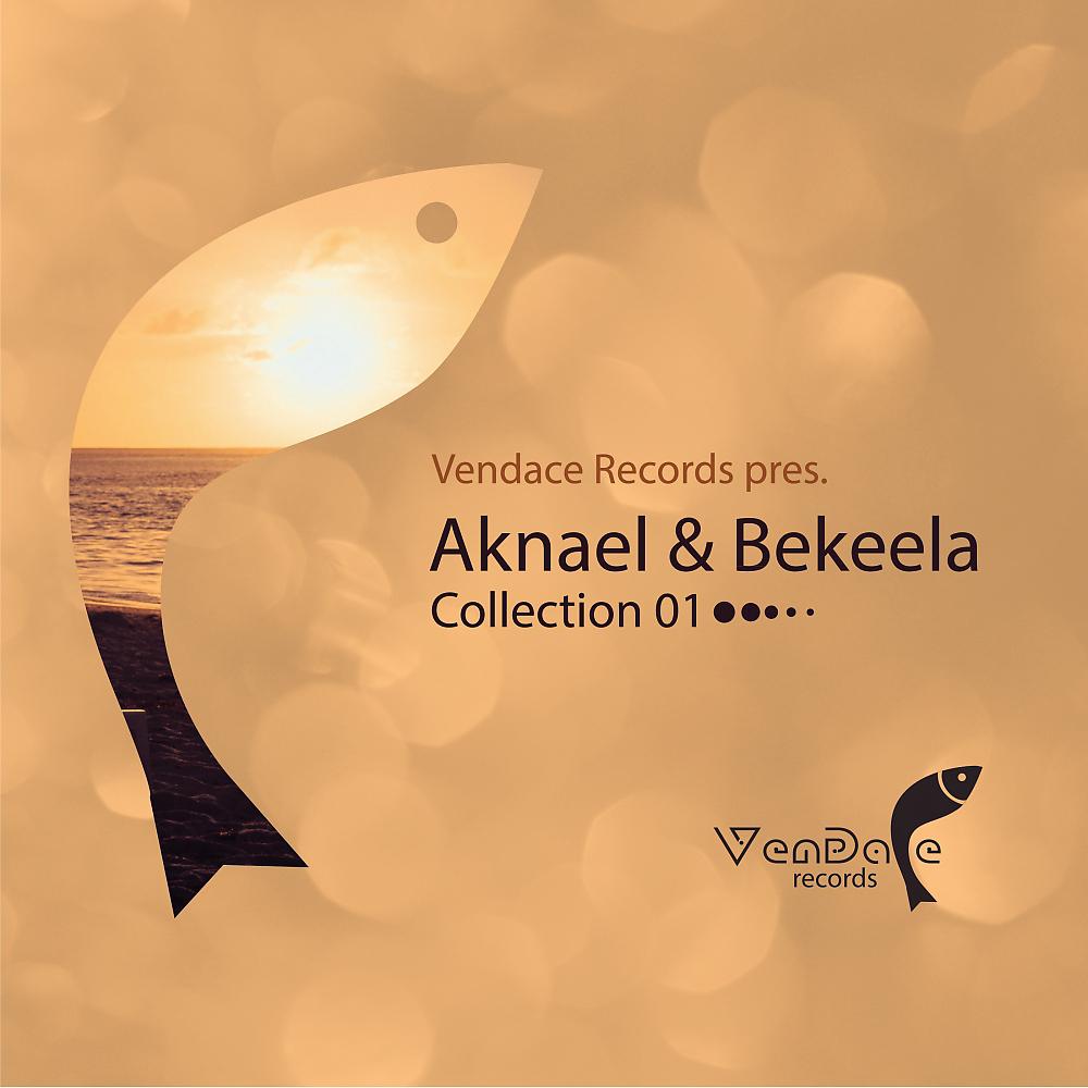 Постер альбома Vendace Records pres. Aknael & Bekeela Collection 01