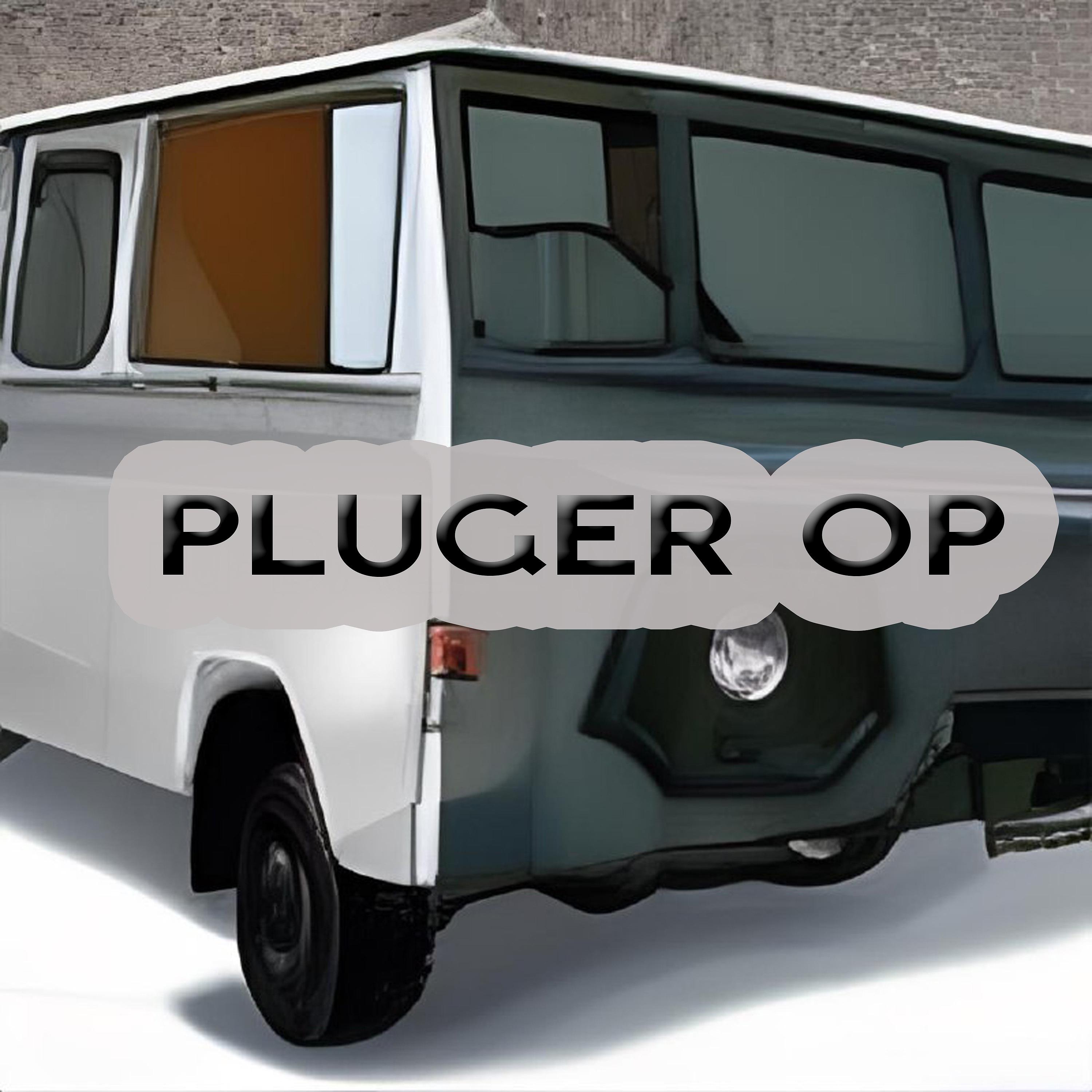 Постер альбома Pluger Op