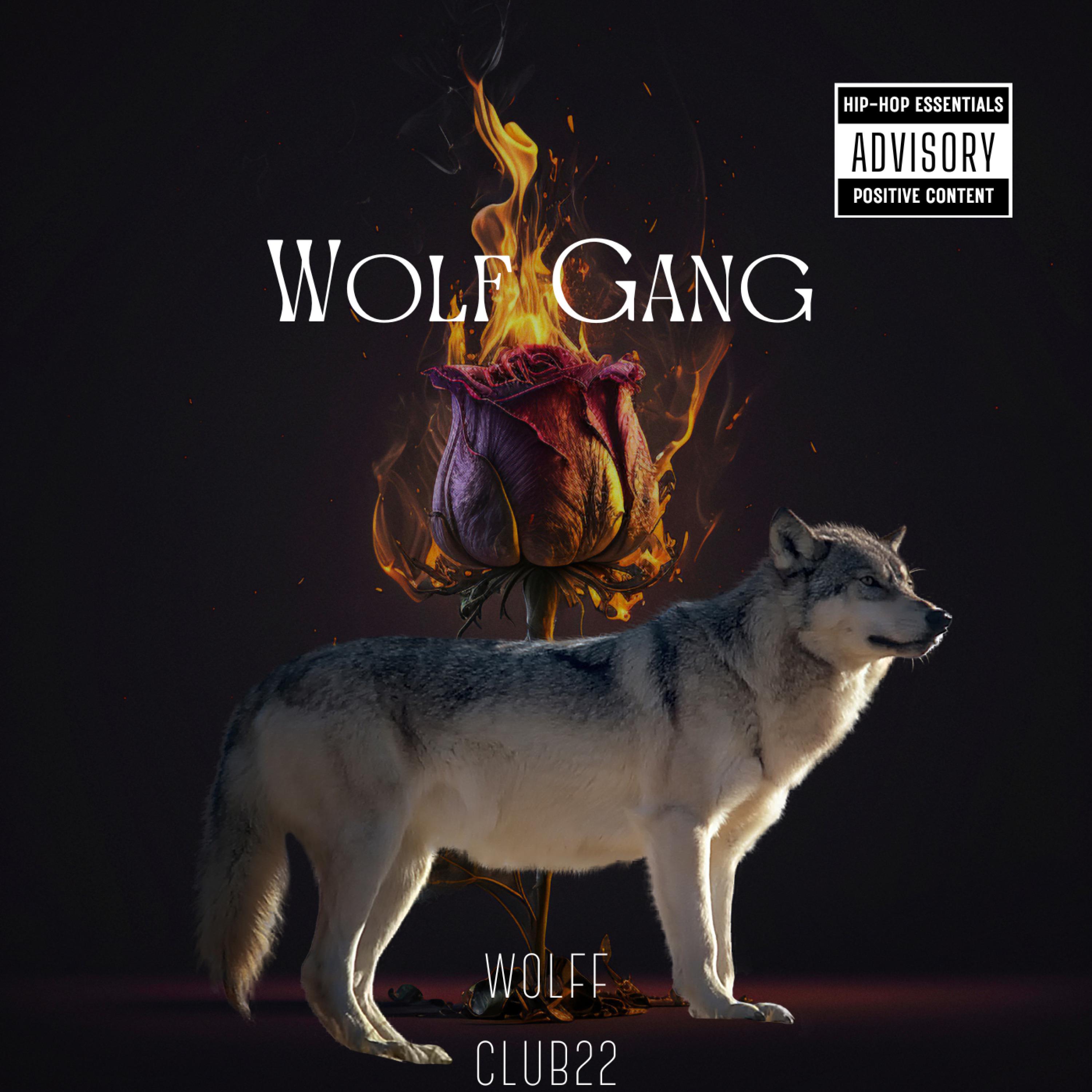 Постер альбома Wolf Gang