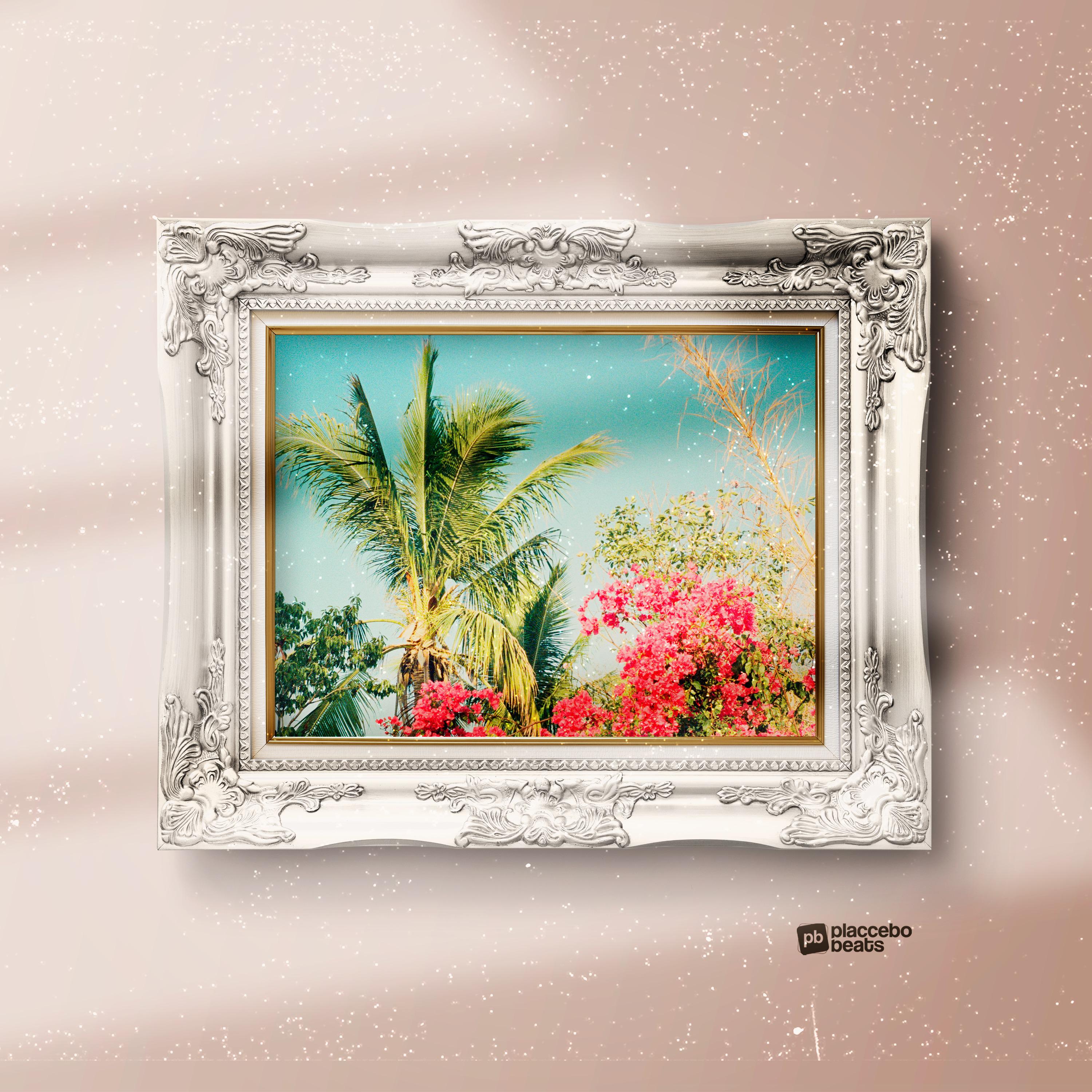 Постер альбома Palm