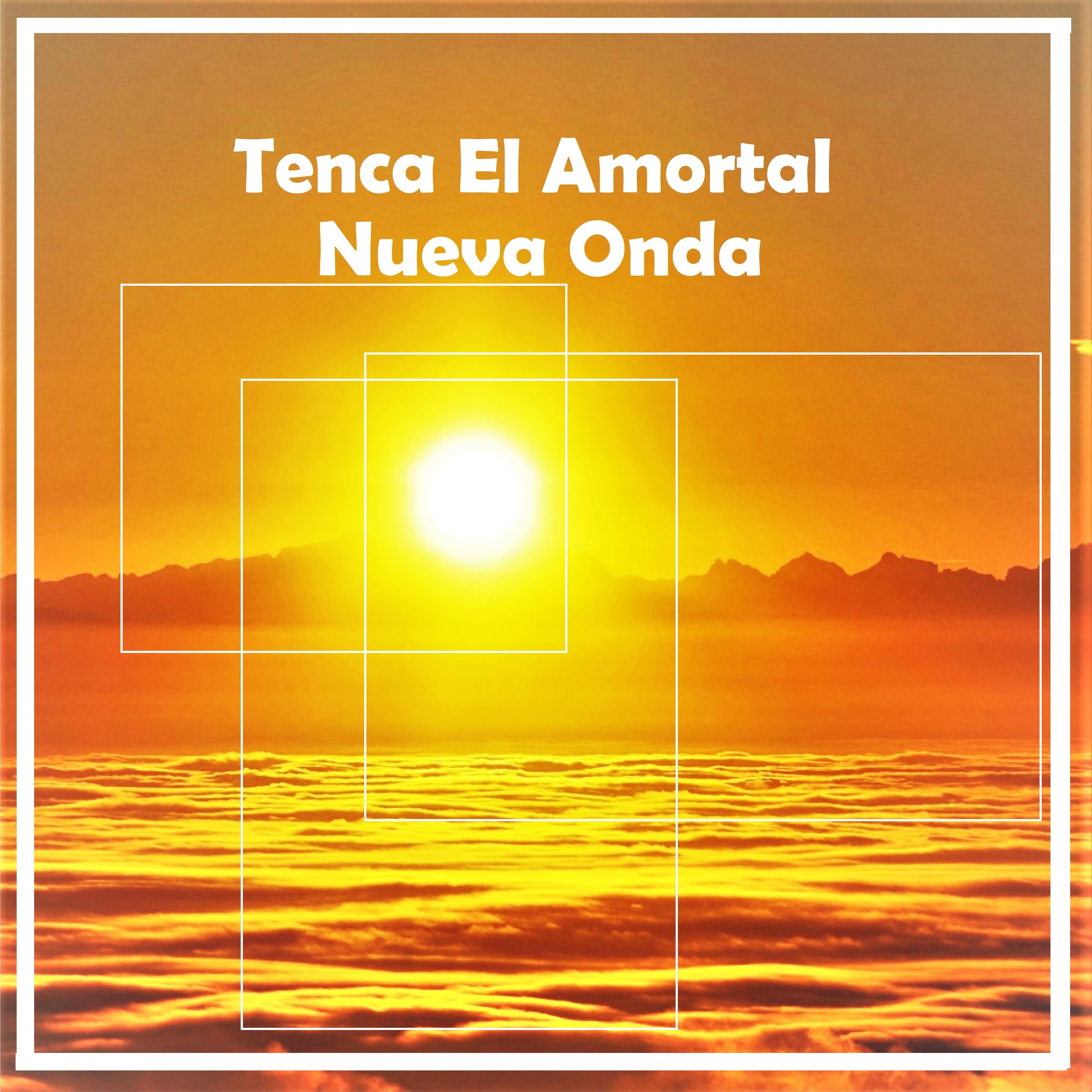 Постер альбома Nueva Onda