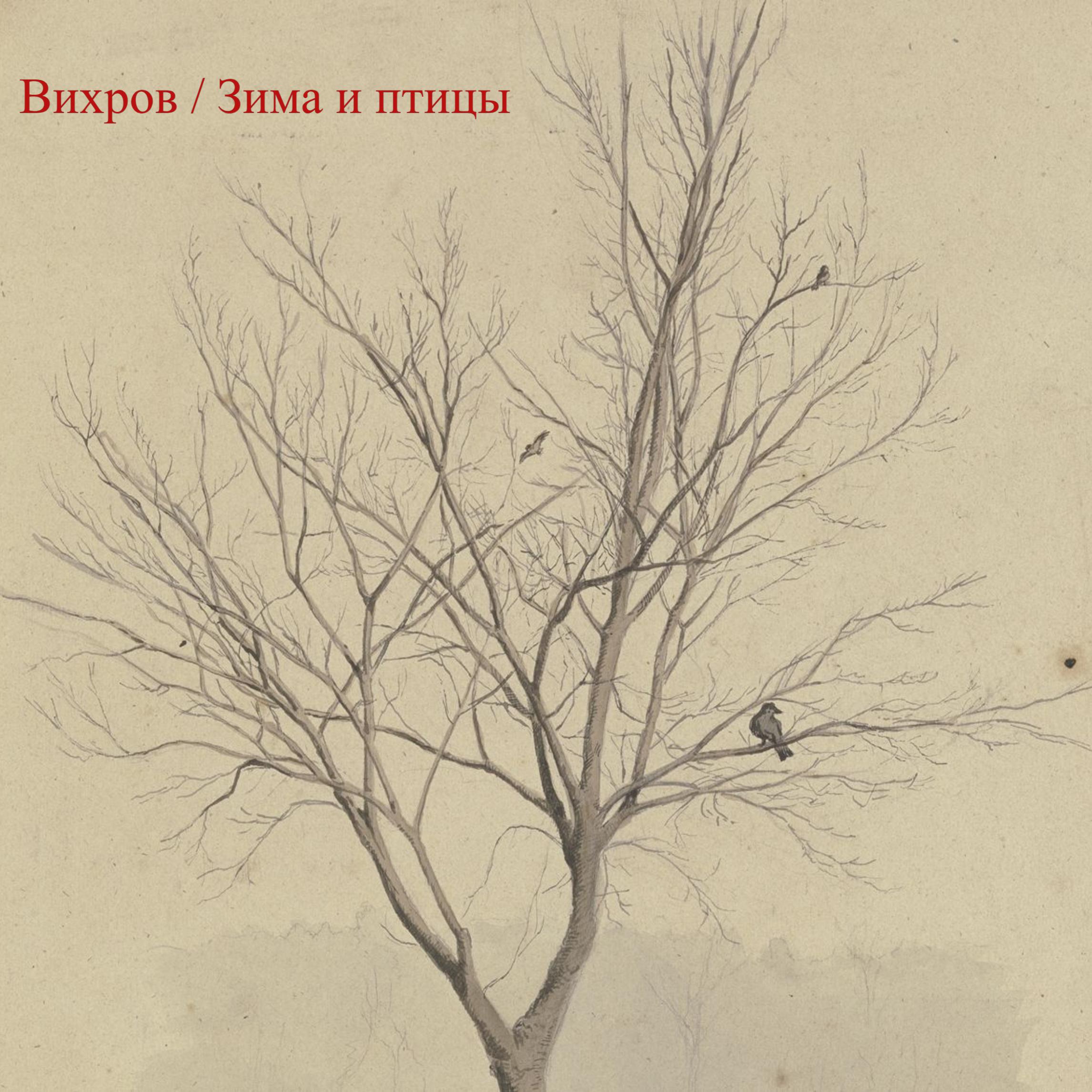 Постер альбома Зима и птицы