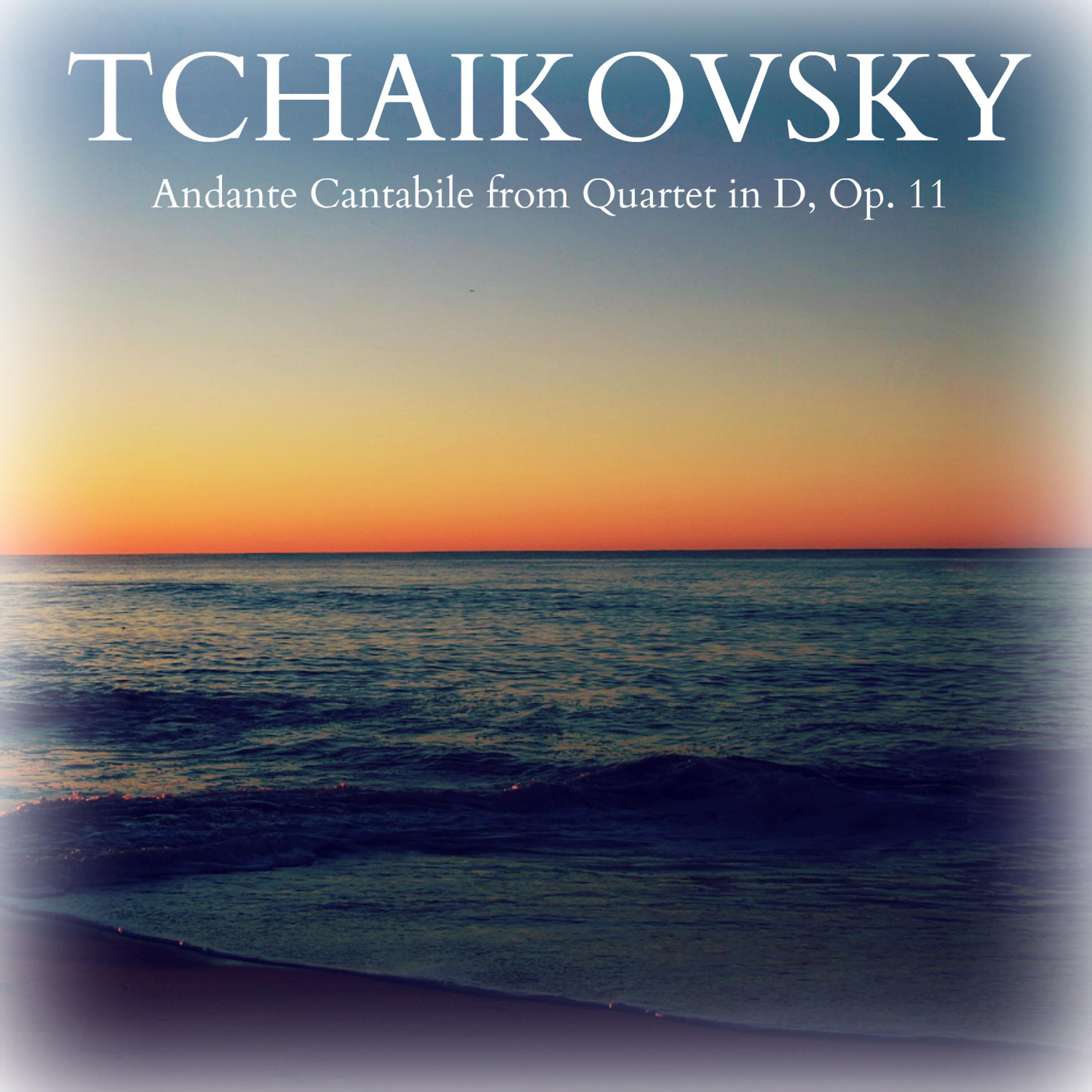 Постер альбома Tchaikovsky: Andante Cantabile from Quartet in D, Op. 11