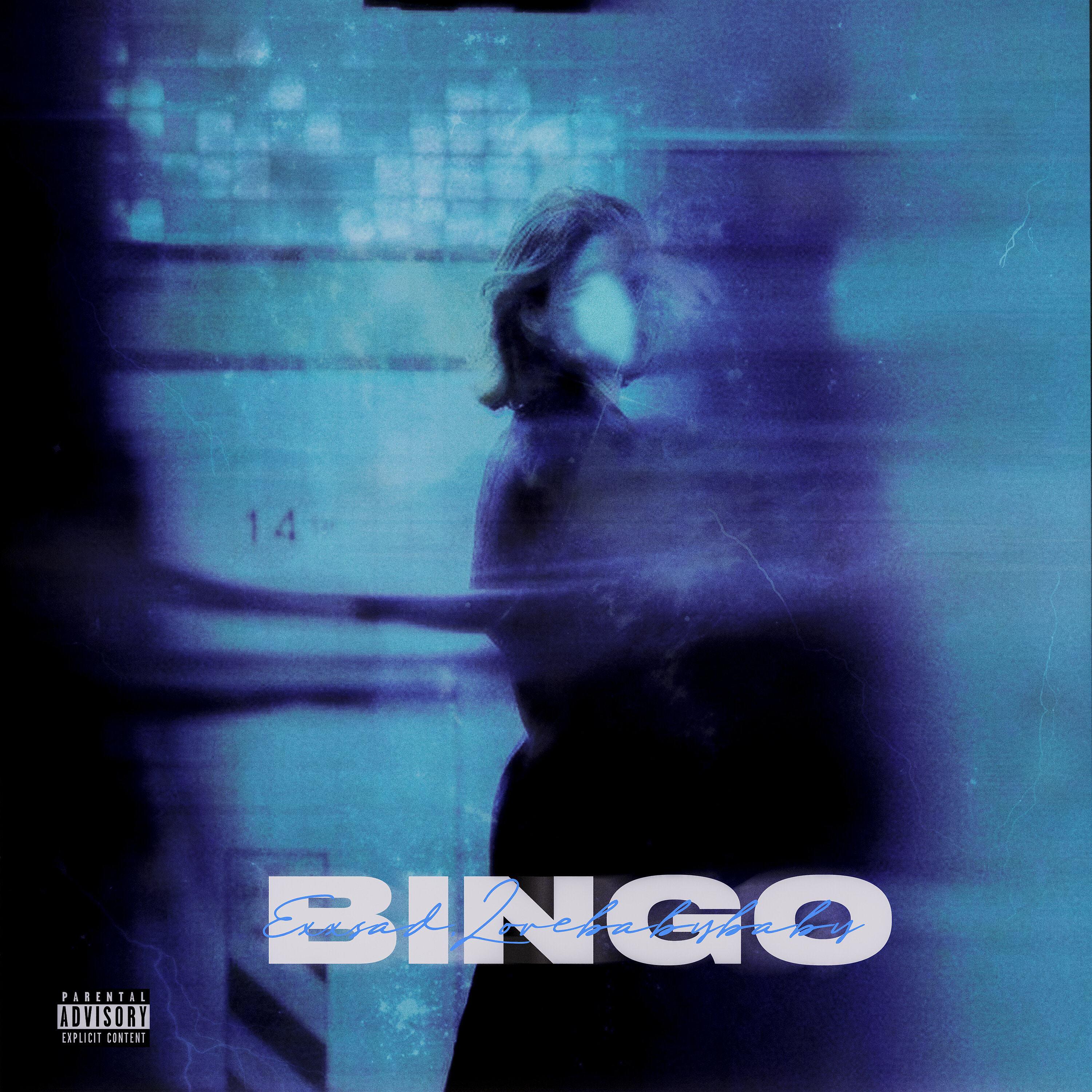 Постер альбома BINGO