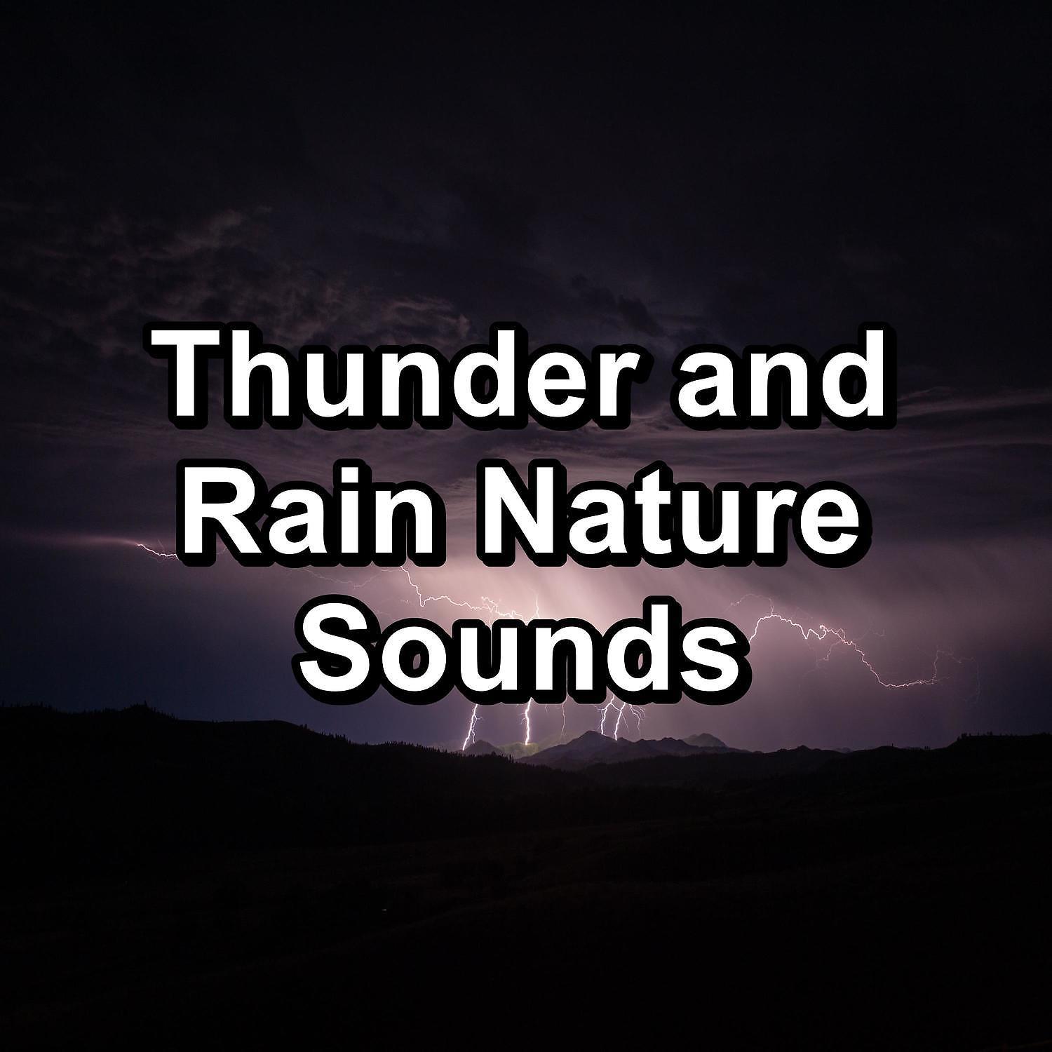 Постер альбома Thunder and Rain Nature Sounds