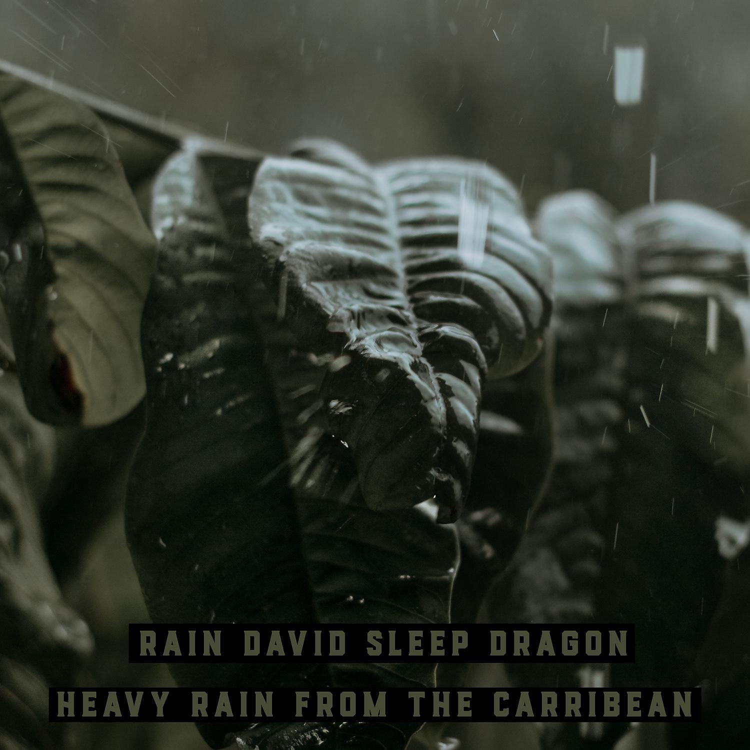 Постер альбома Heavy Rain from the Caribbean