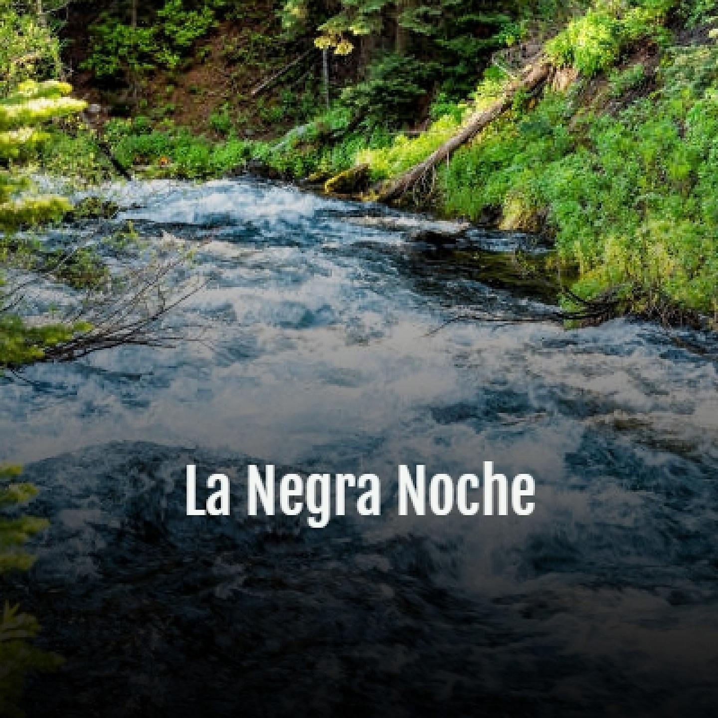 Постер альбома La Negra Noche