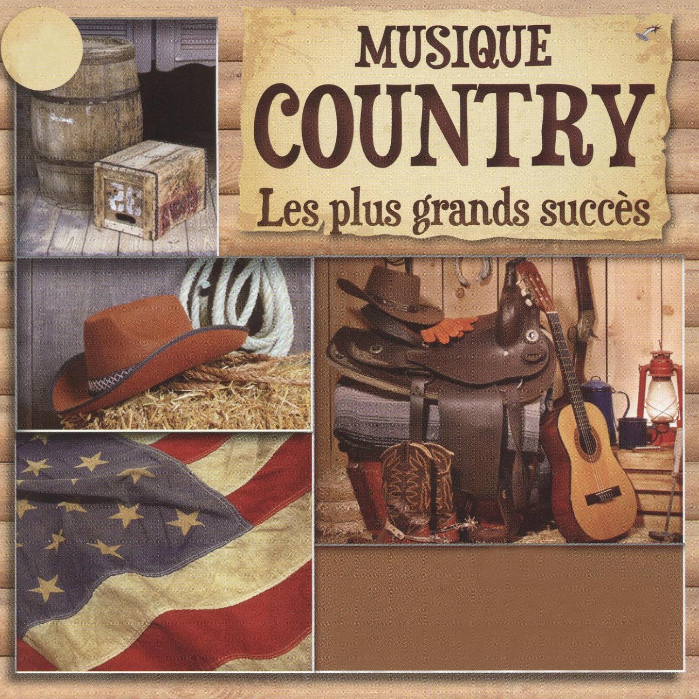 Постер альбома Les plus grands succès de la musique country
