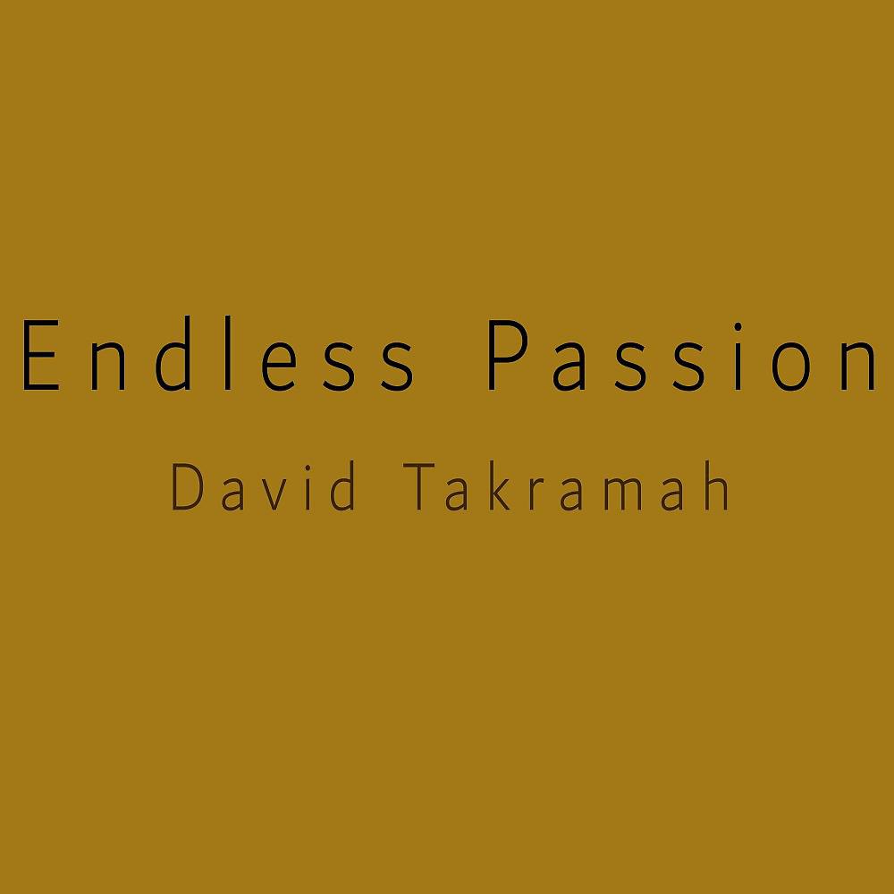 Постер альбома Endless Passion