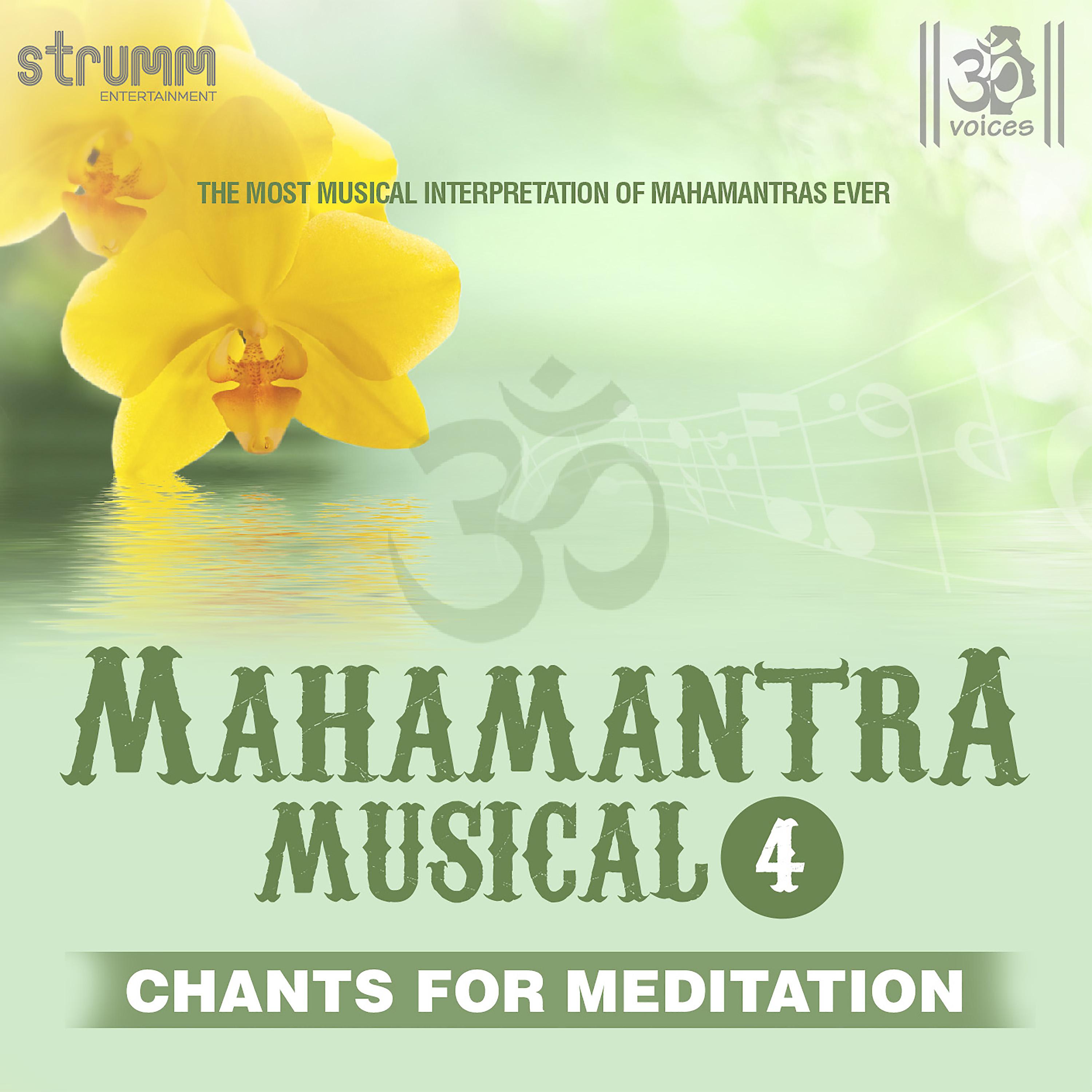 Постер альбома Mahamantra Musical, Vol. 4