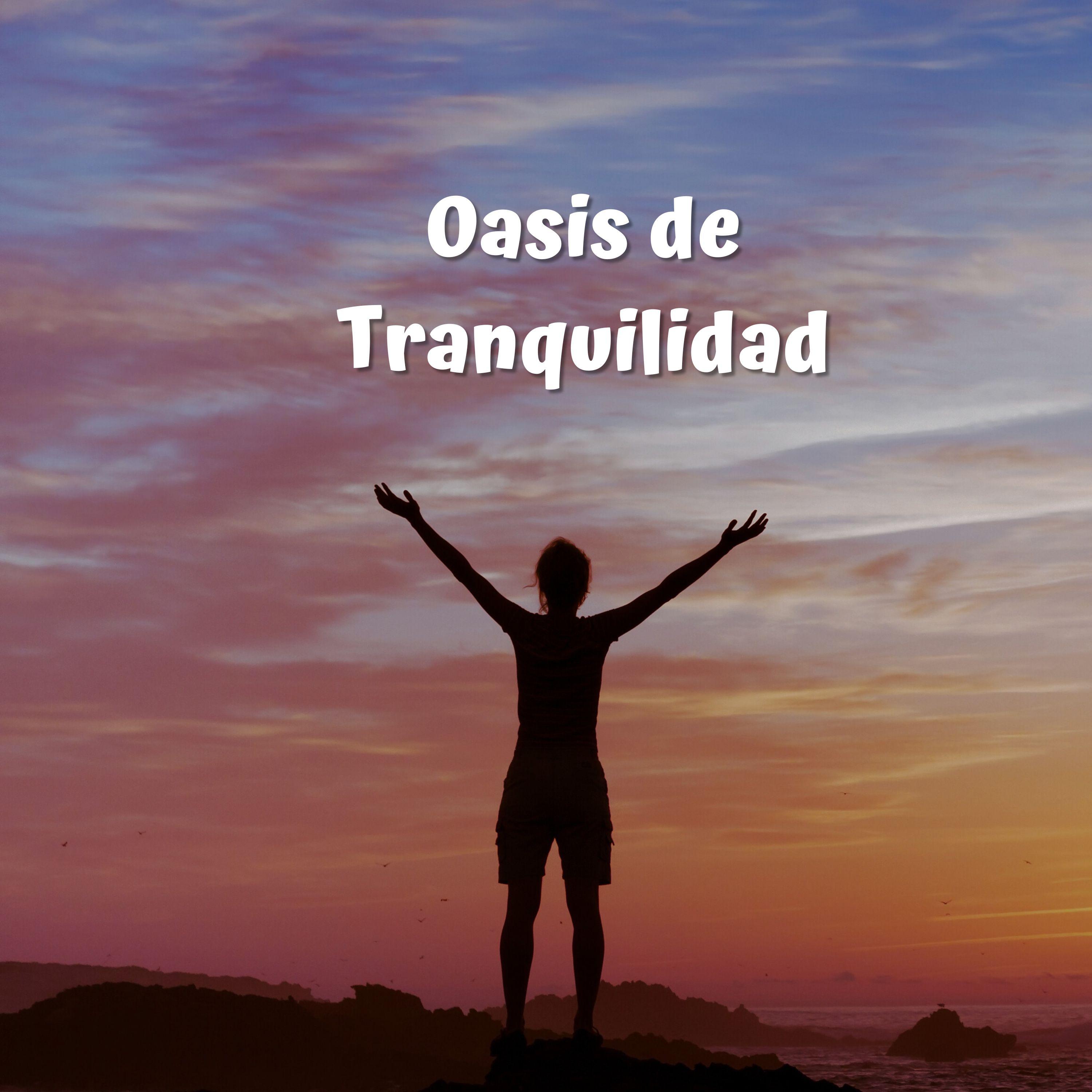 Постер альбома Oasis de Tranquilidad