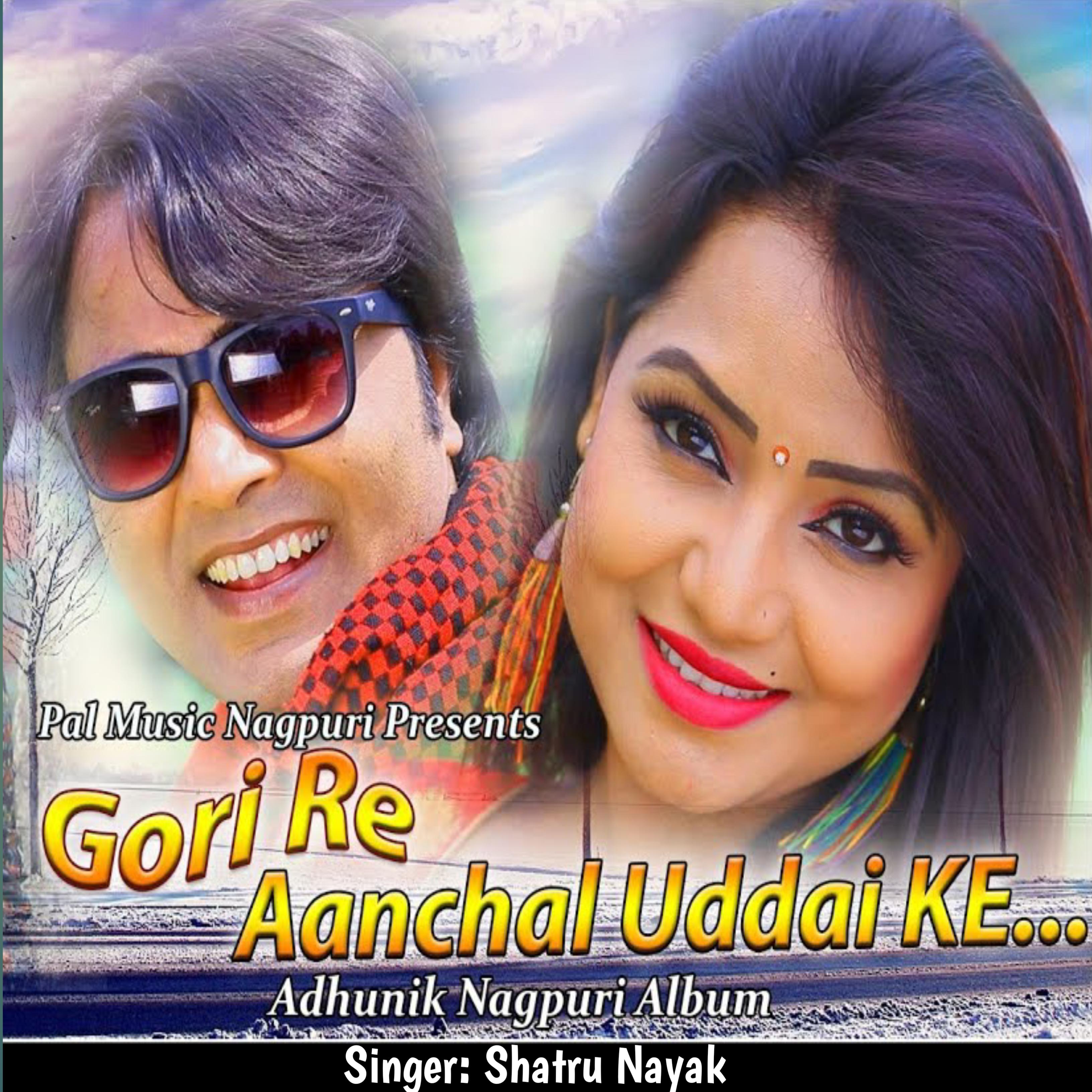 Постер альбома Gori Re Aanchal Uddai Ke