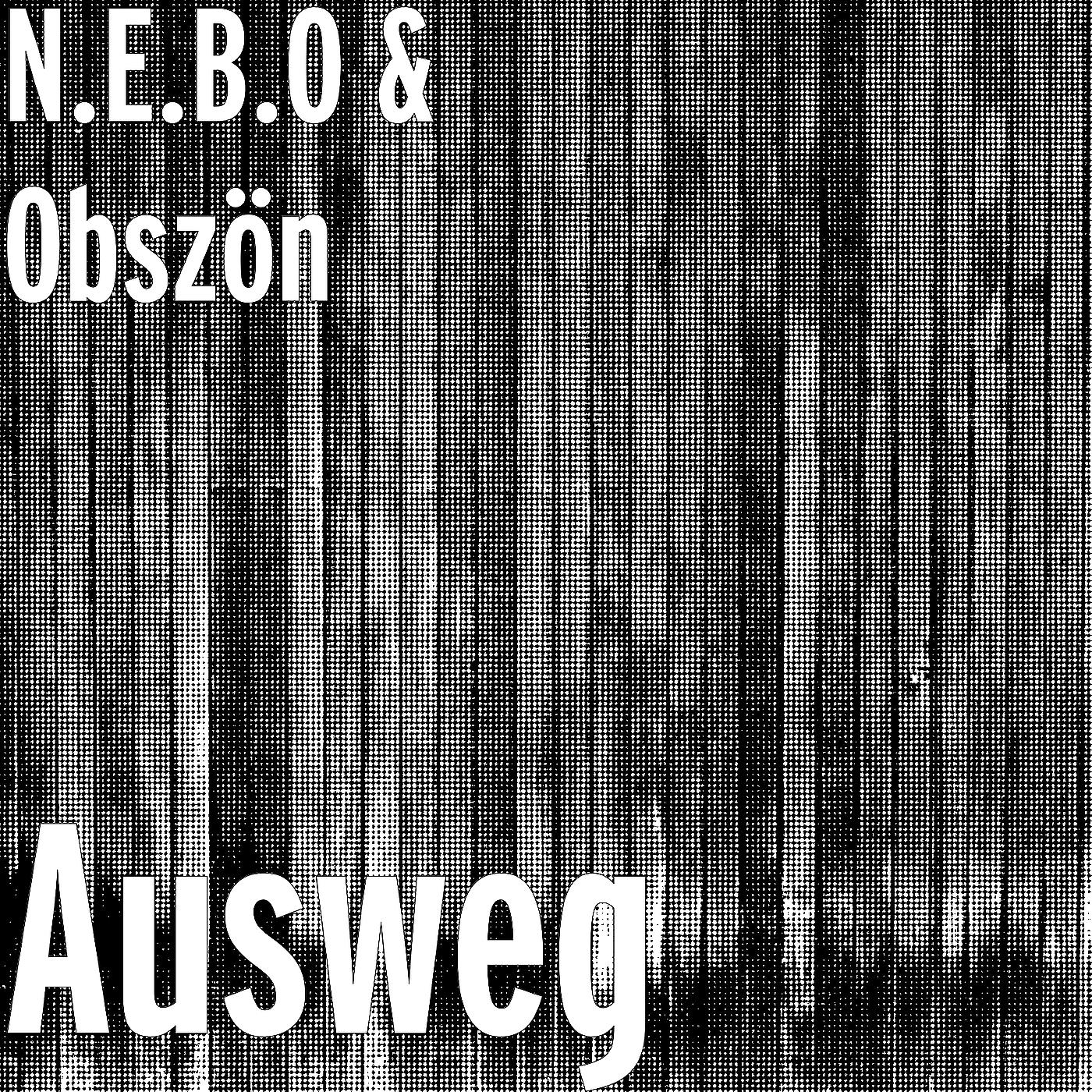 Постер альбома Ausweg