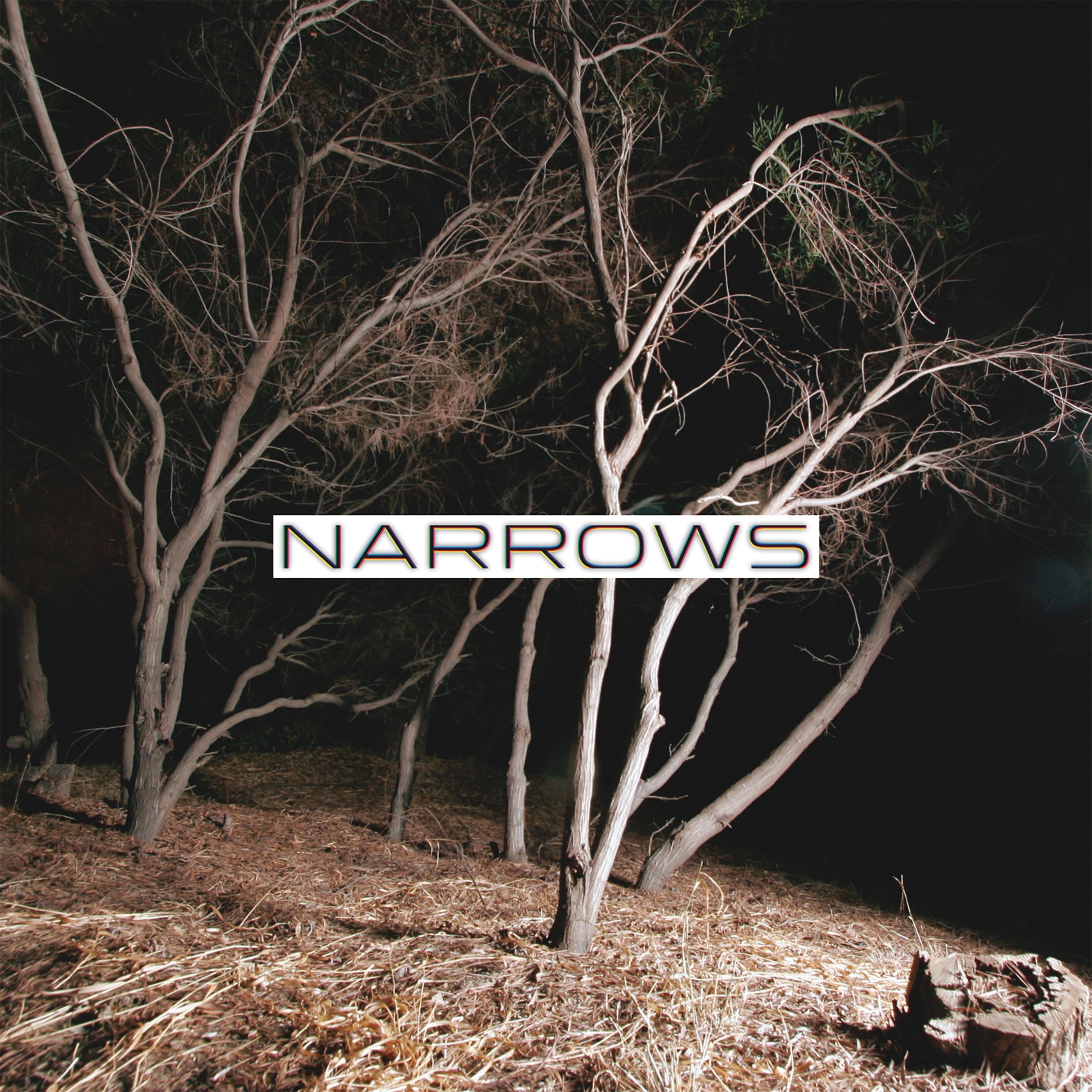 Постер альбома Narrows