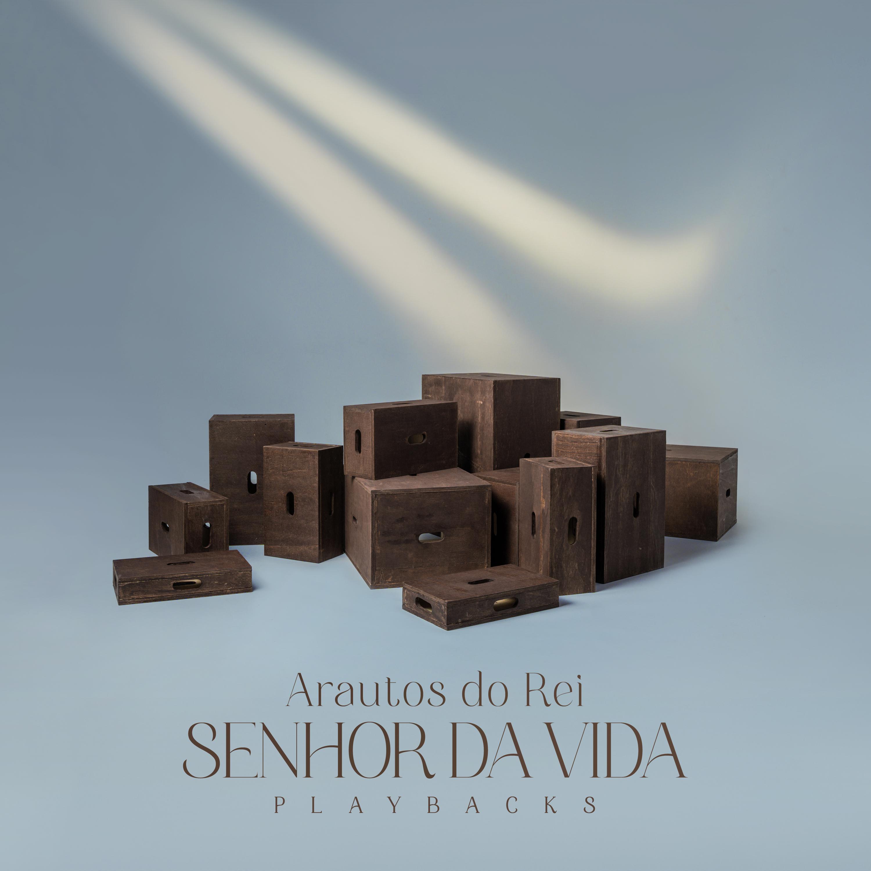 Постер альбома Senhor da Vida