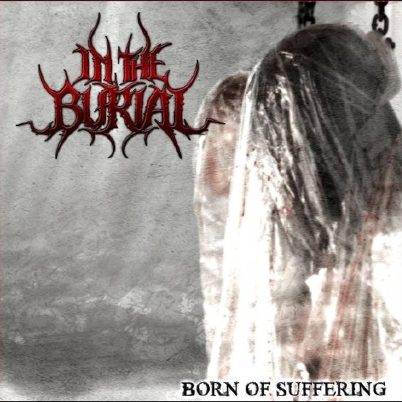 Постер альбома Born of Suffering