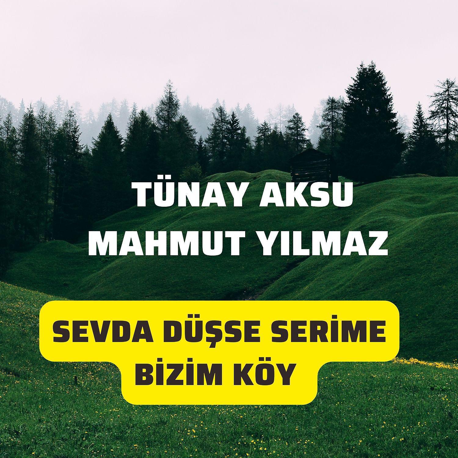 Постер альбома Sevda Düşse Serime Bizim Köy