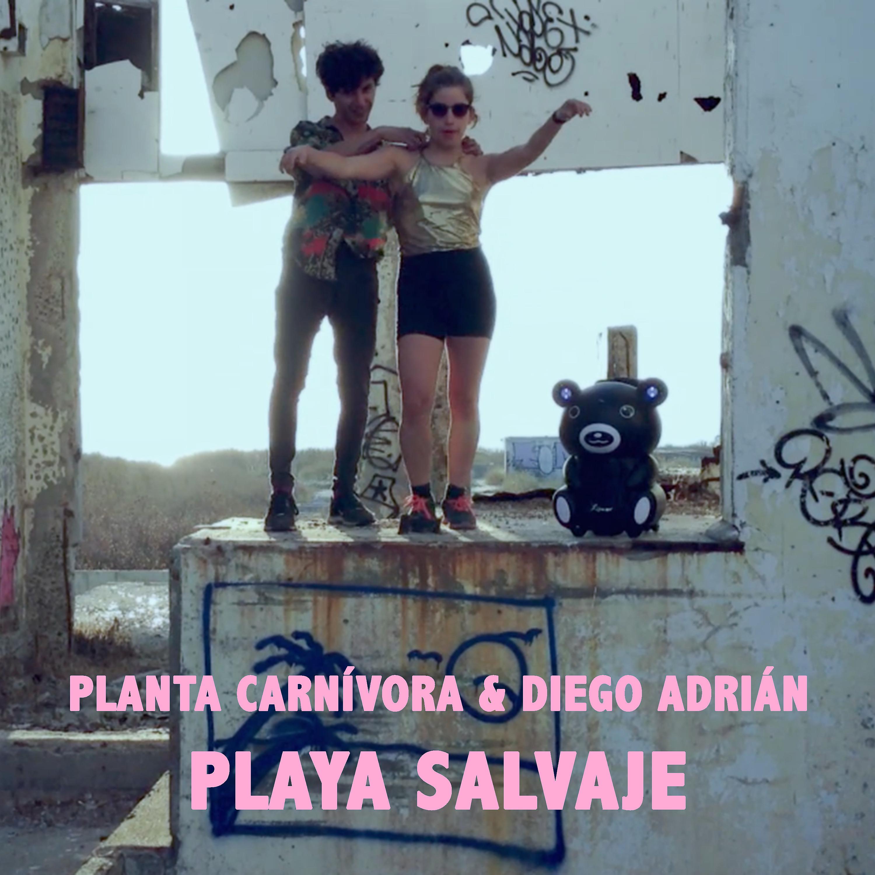 Постер альбома Playa Salvaje