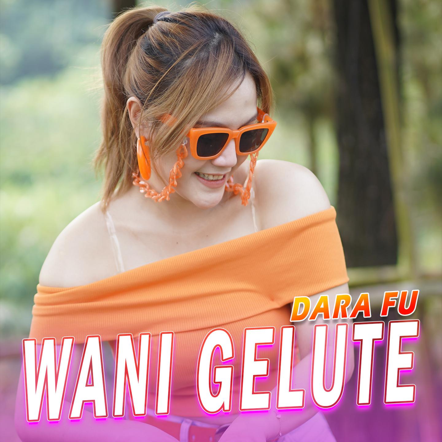 Постер альбома Wani Gelute