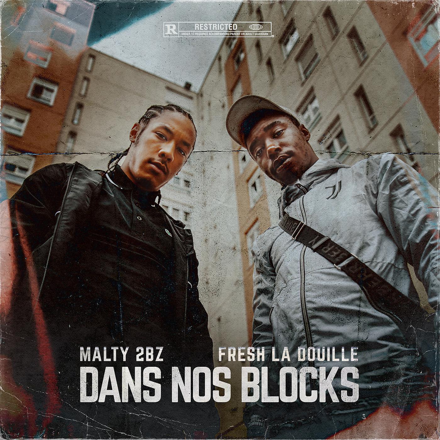 Постер альбома Dans Nos Blocks